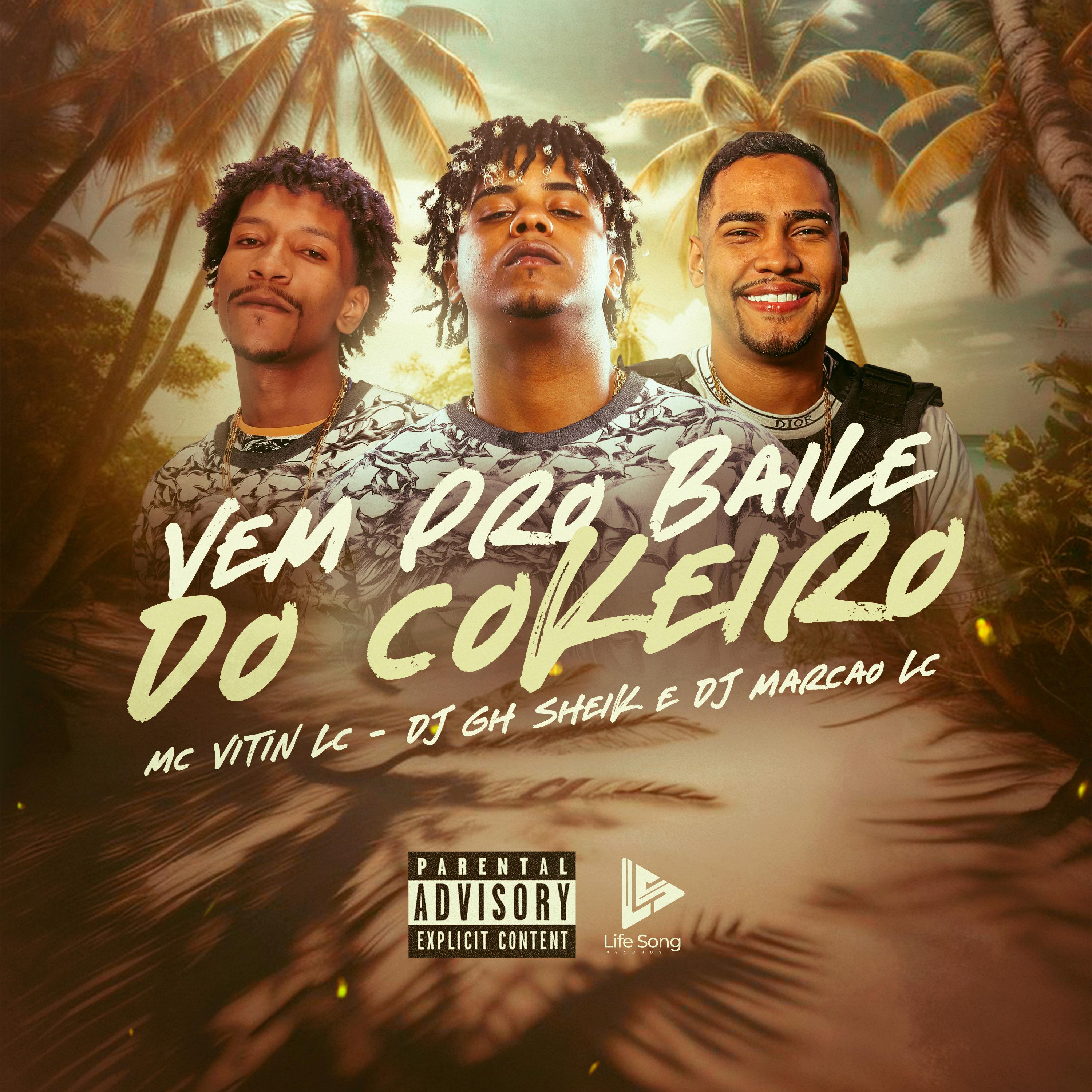 Постер альбома Vem pro Baile do Cokeiro