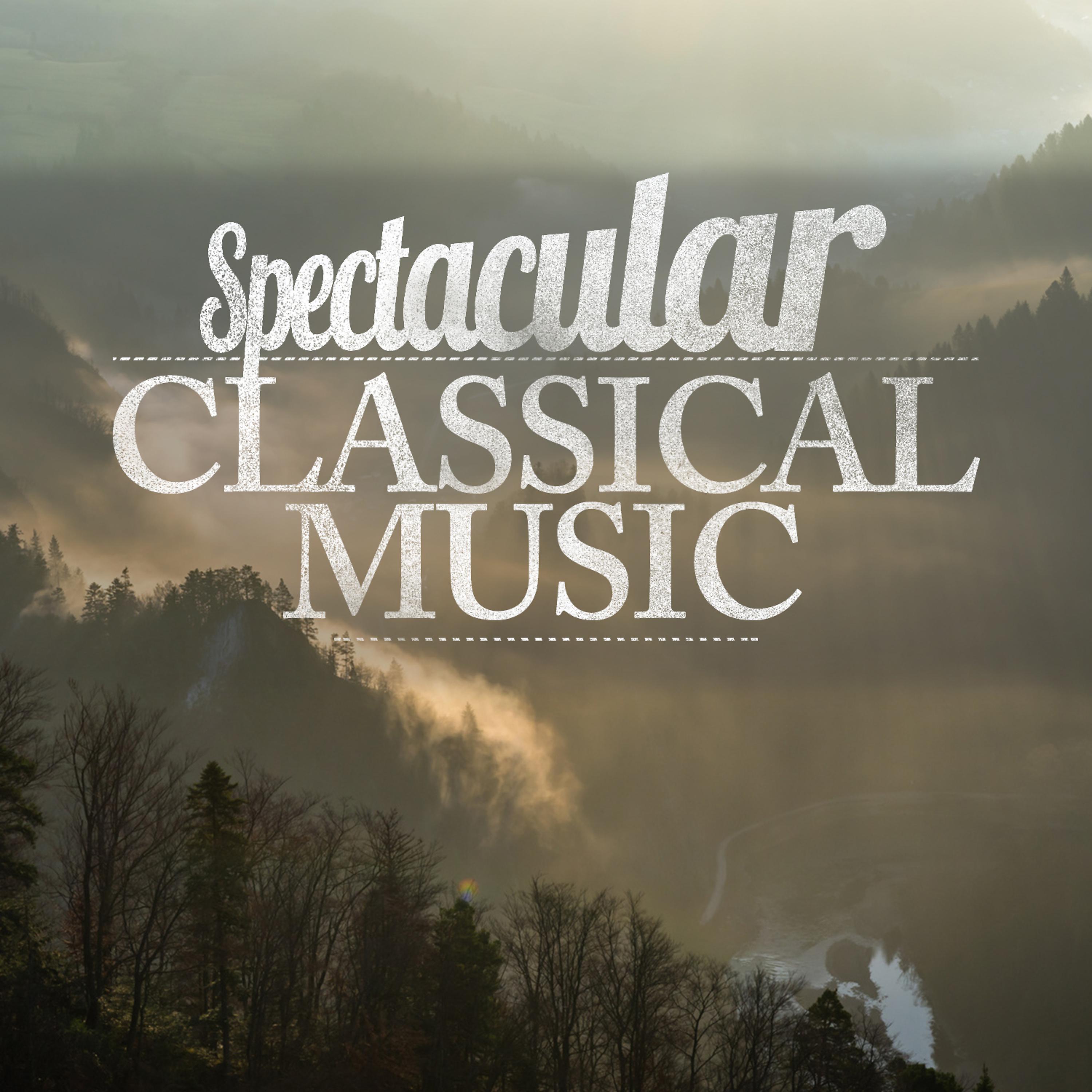 Постер альбома Spectacular Classical Music