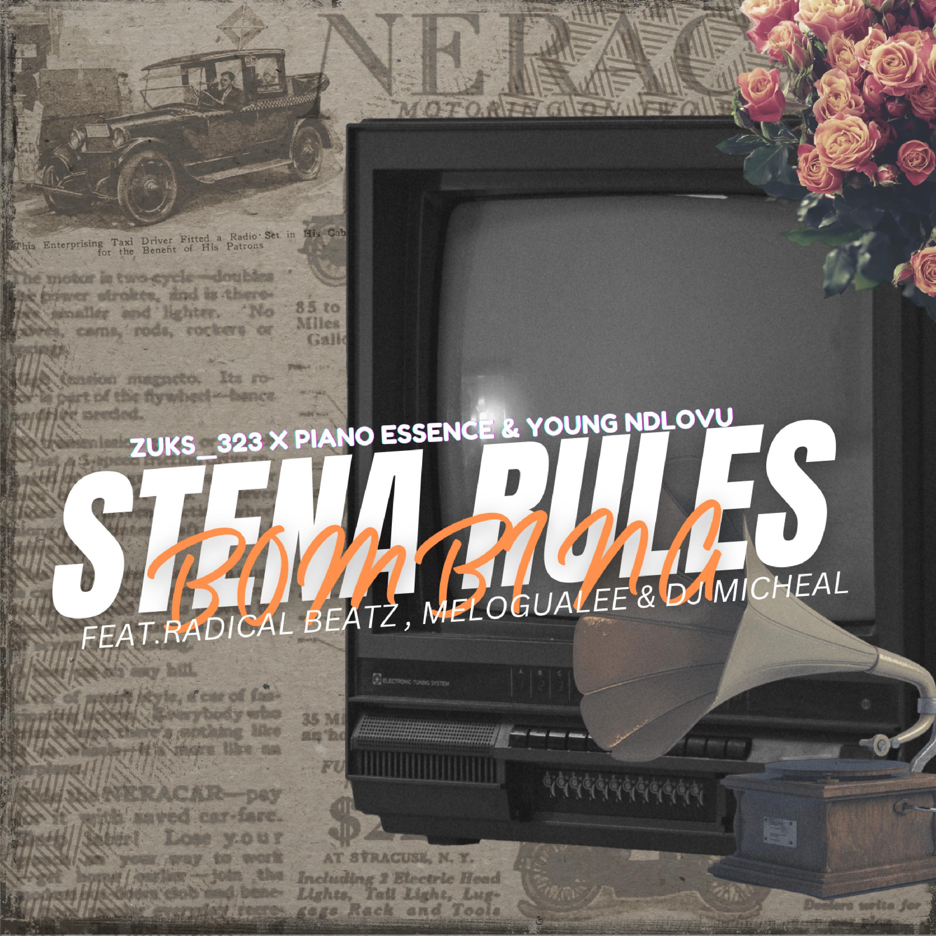 Постер альбома Stena Rules ( Bombing )