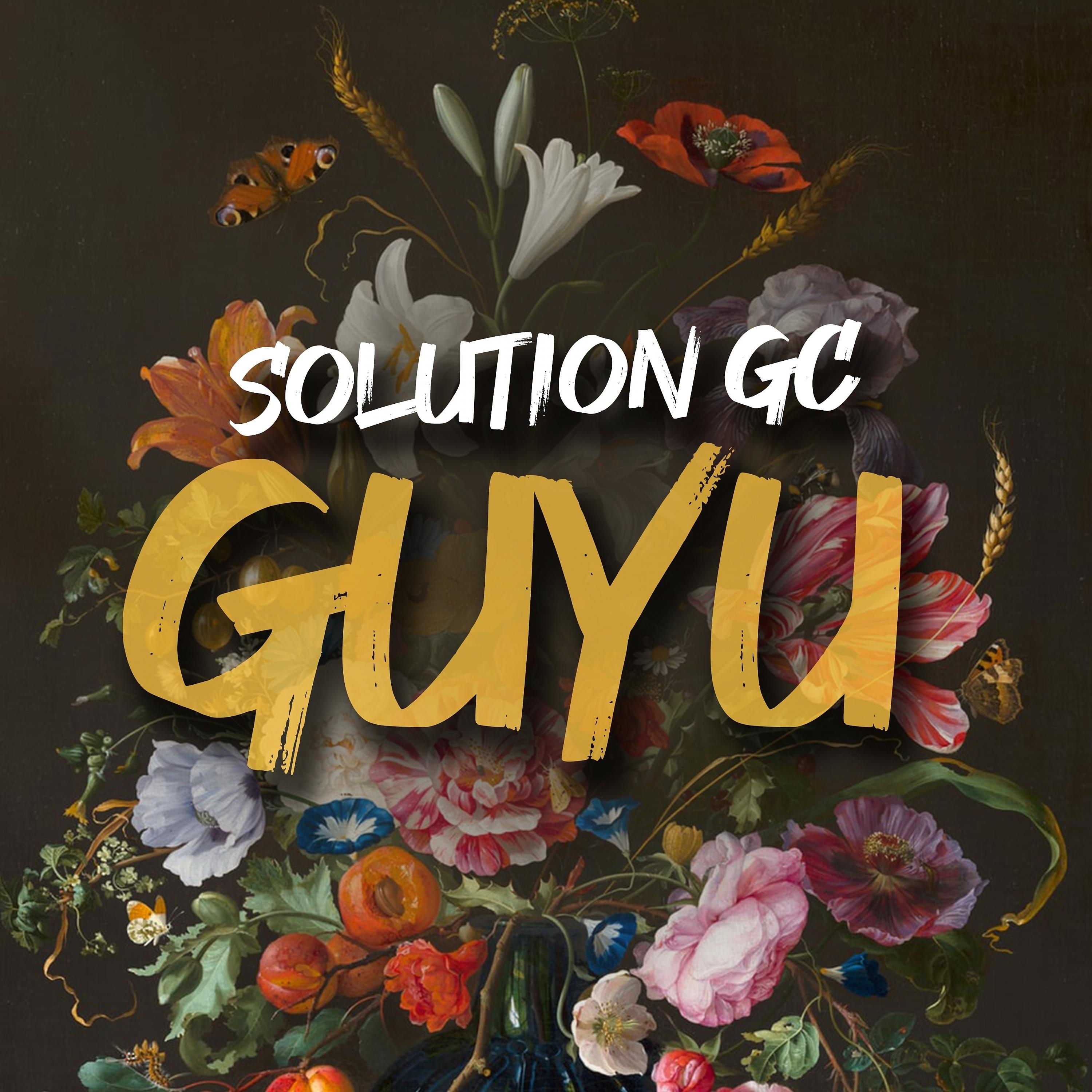 Постер альбома Guyu