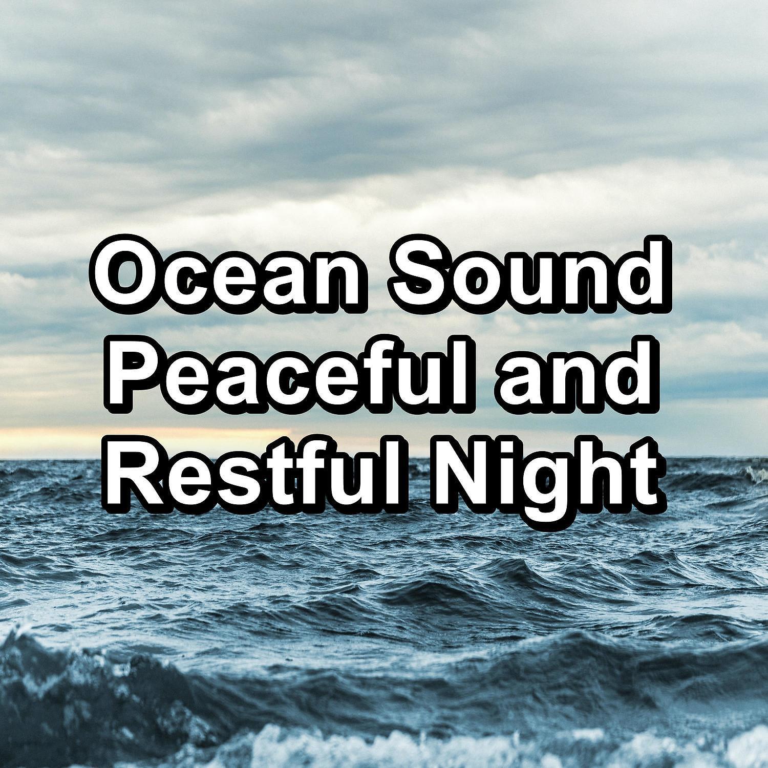 Постер альбома Ocean Sound Peaceful and Restful Night