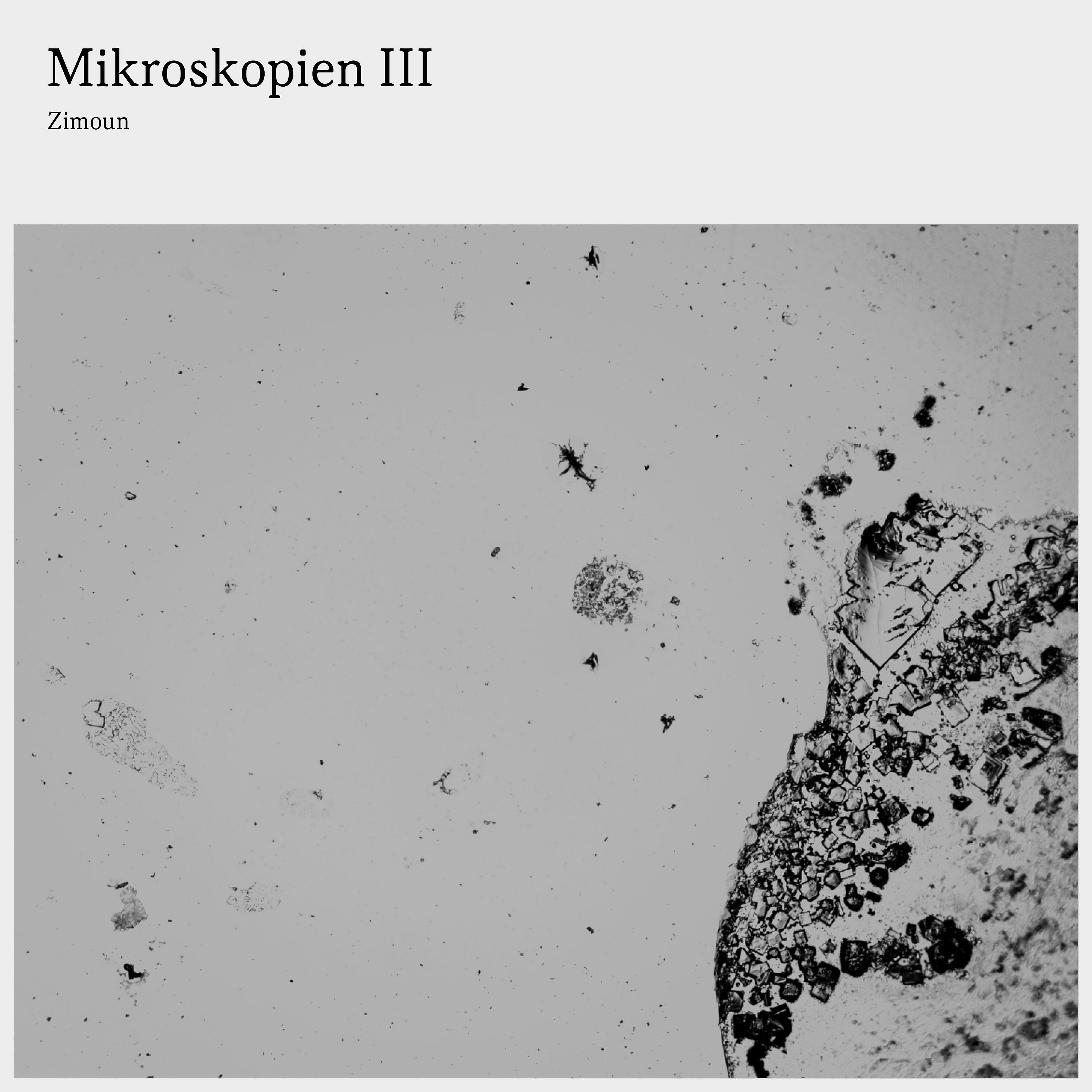 Постер альбома Mikroskopien III