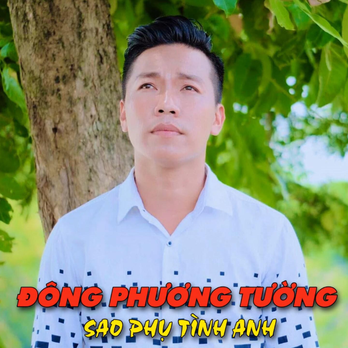Постер альбома Sao Phụ Tình Anh
