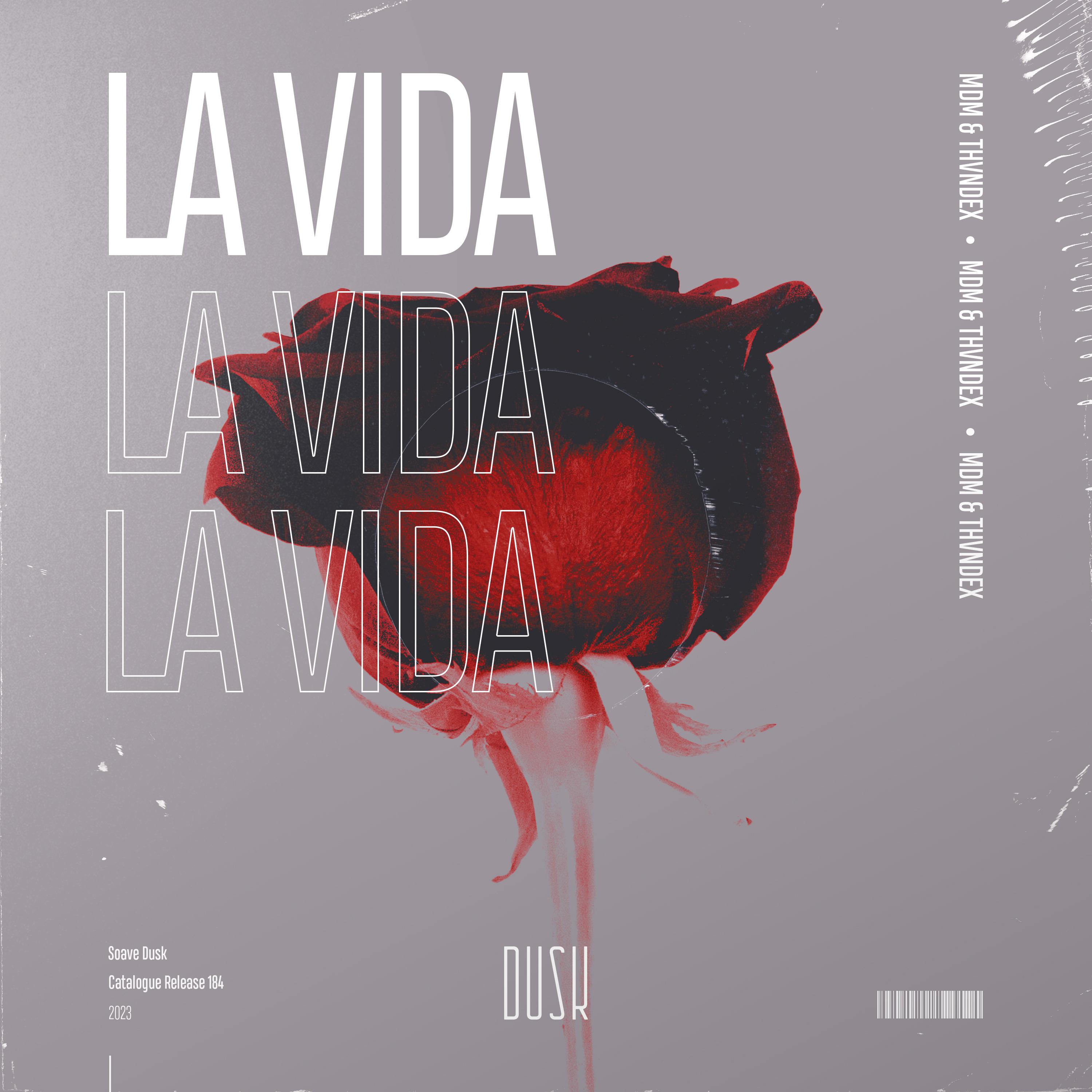 Постер альбома La Vida