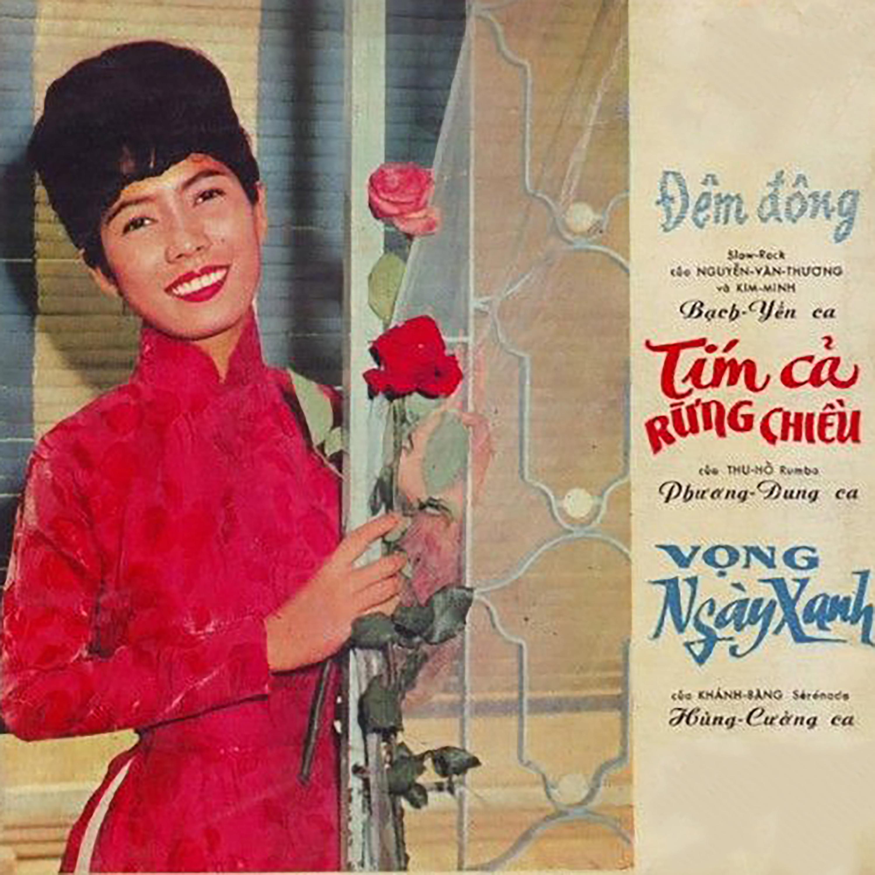 Постер альбома Đêm Đông