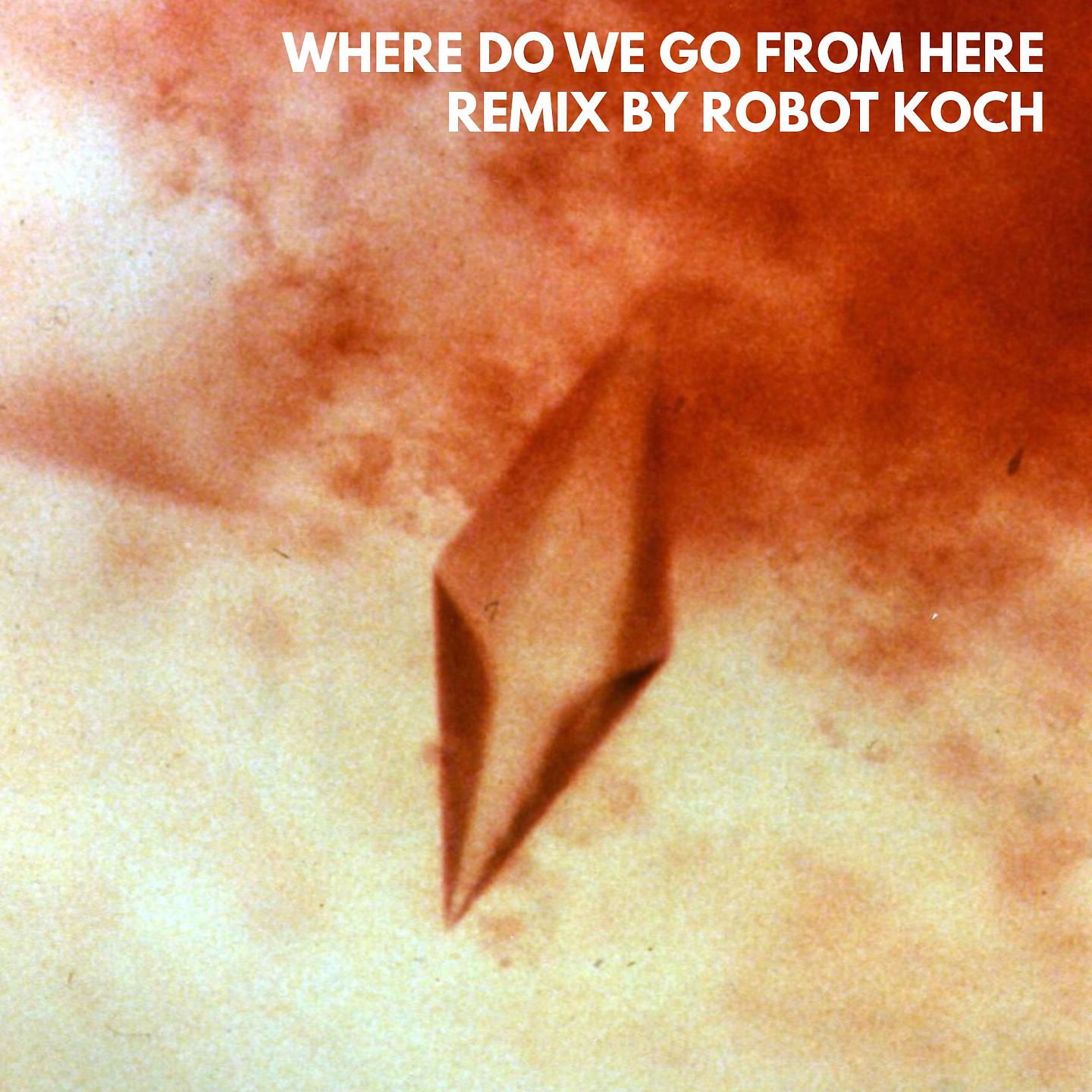Постер альбома Where Do We Go from Here