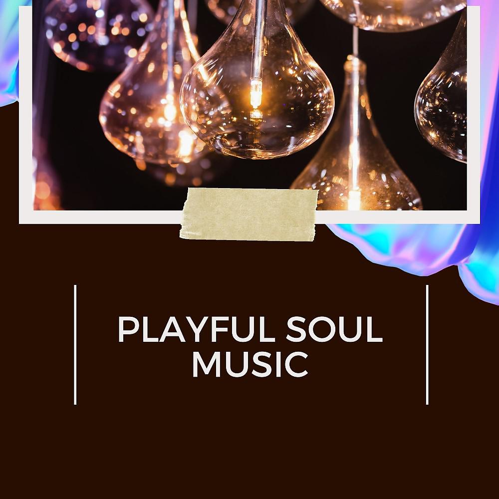 Постер альбома Playful Soul Music
