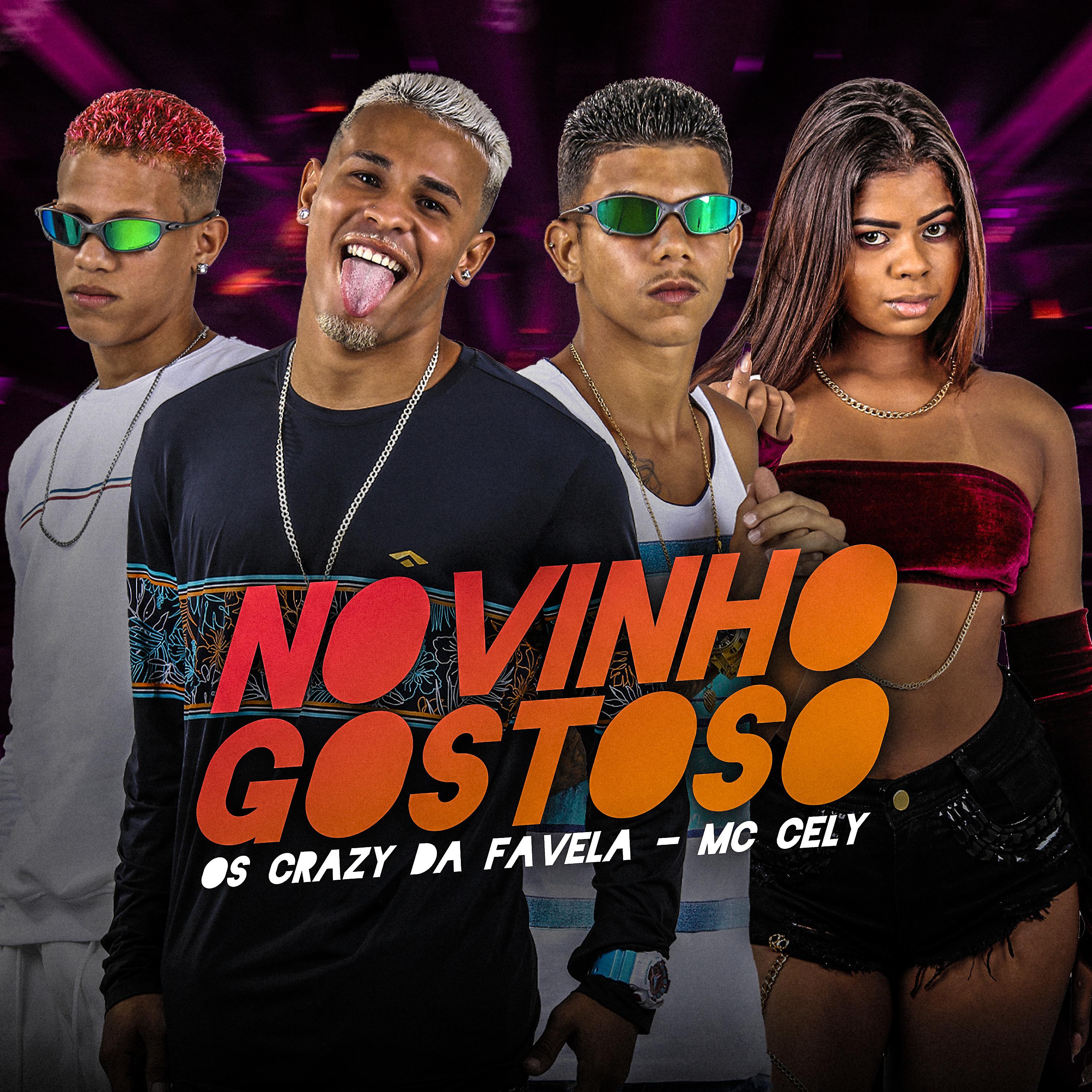 Постер альбома Novinho Gostoso