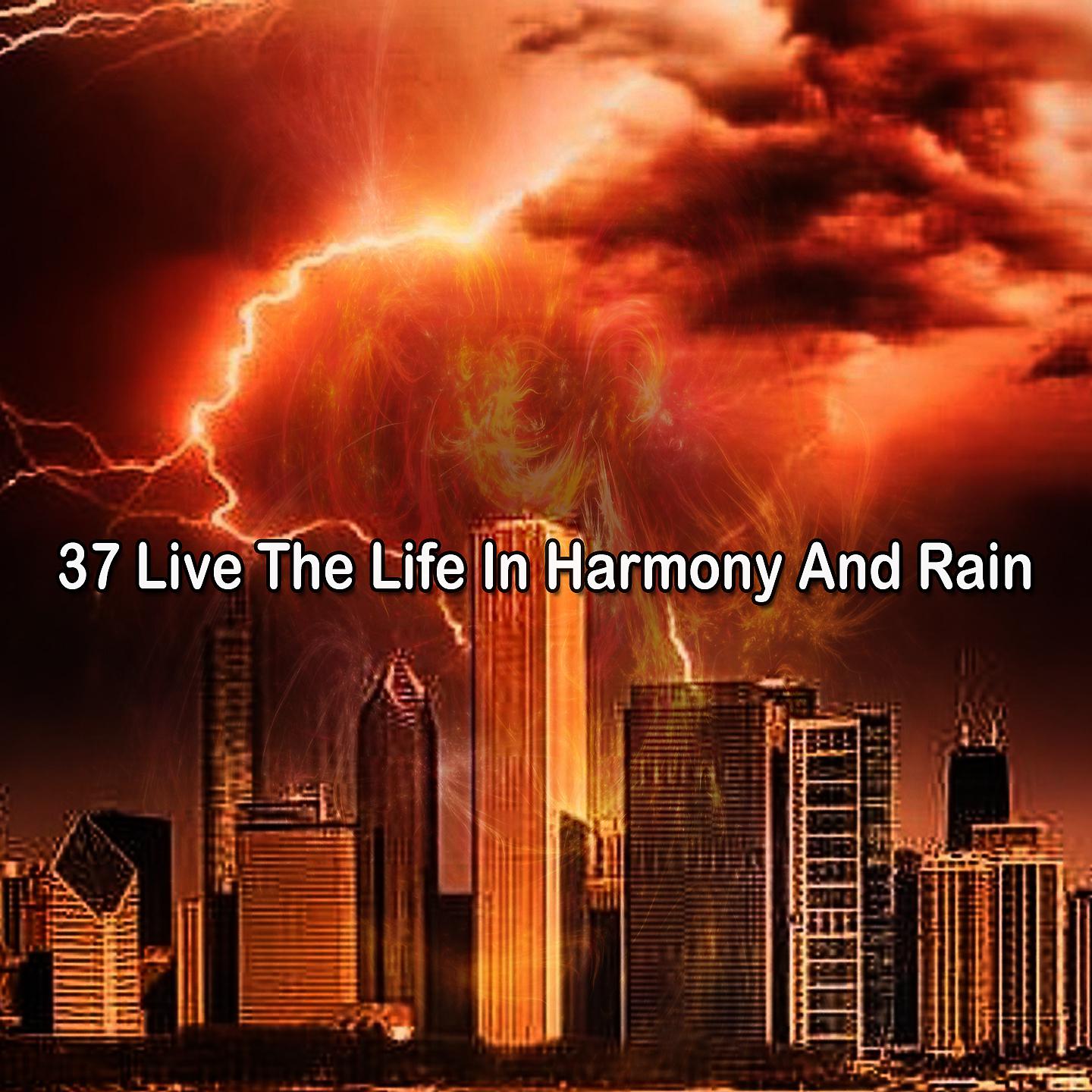 Постер альбома 37 Живи жизнью в гармонии и дожде