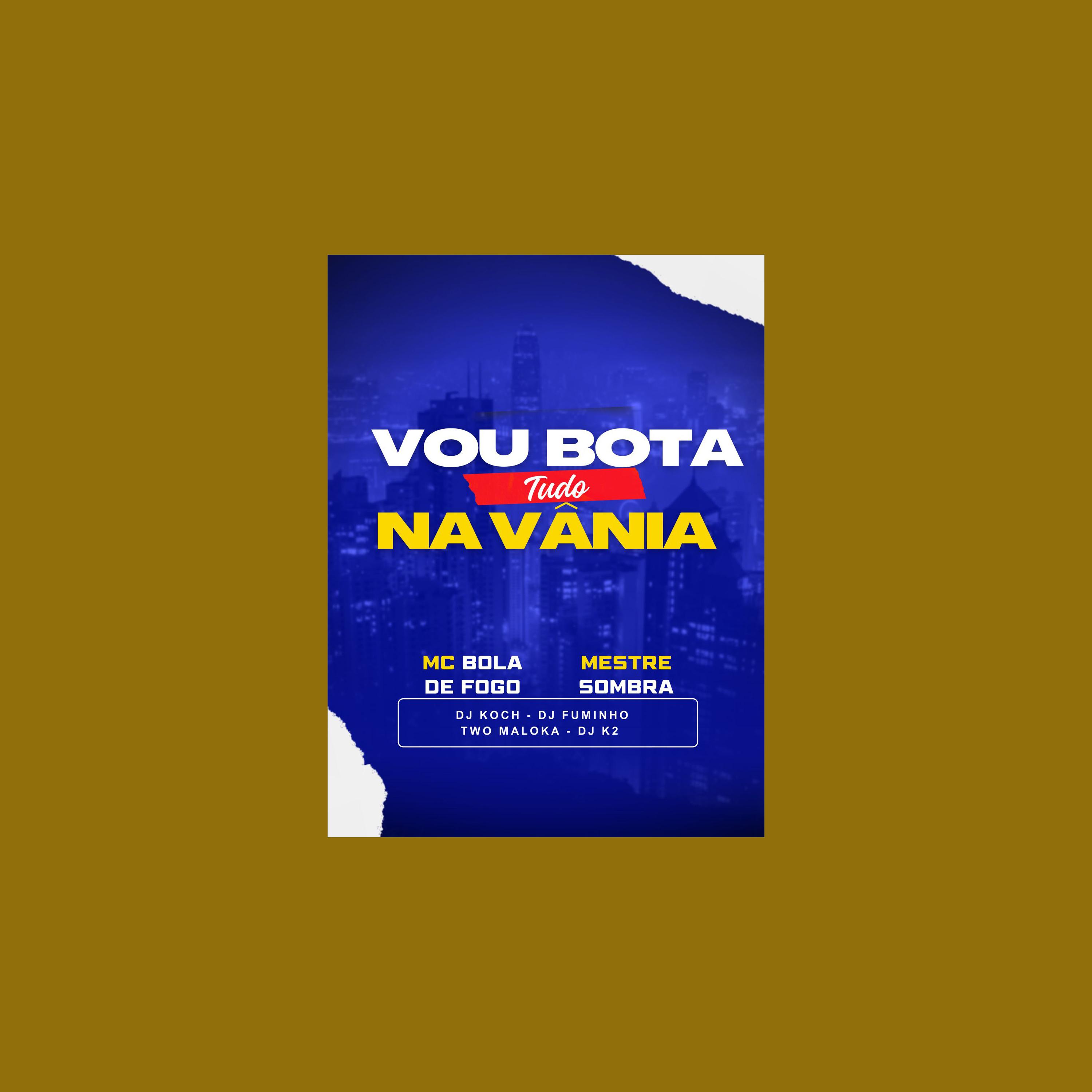 Постер альбома Vou Botar Tudo na Vania