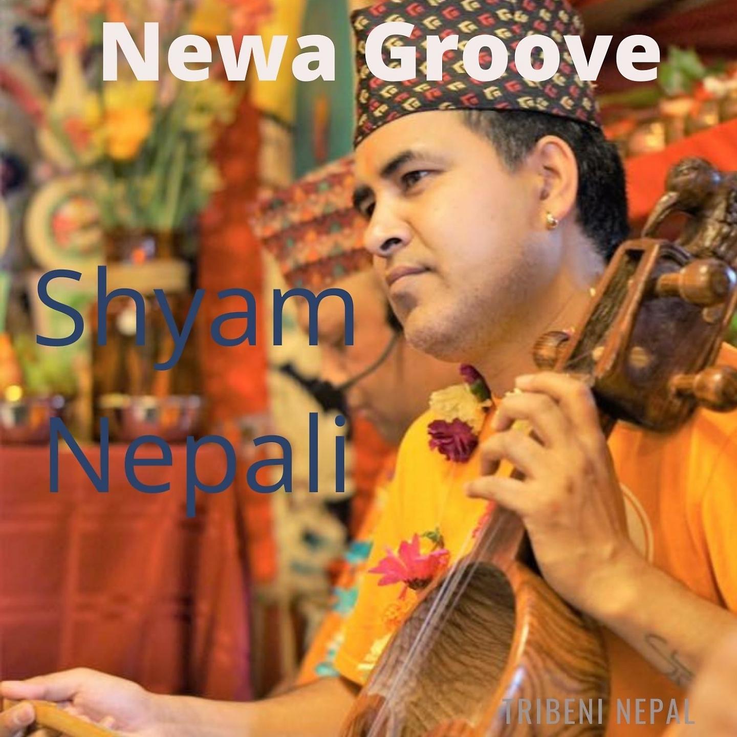 Постер альбома Newa Groove