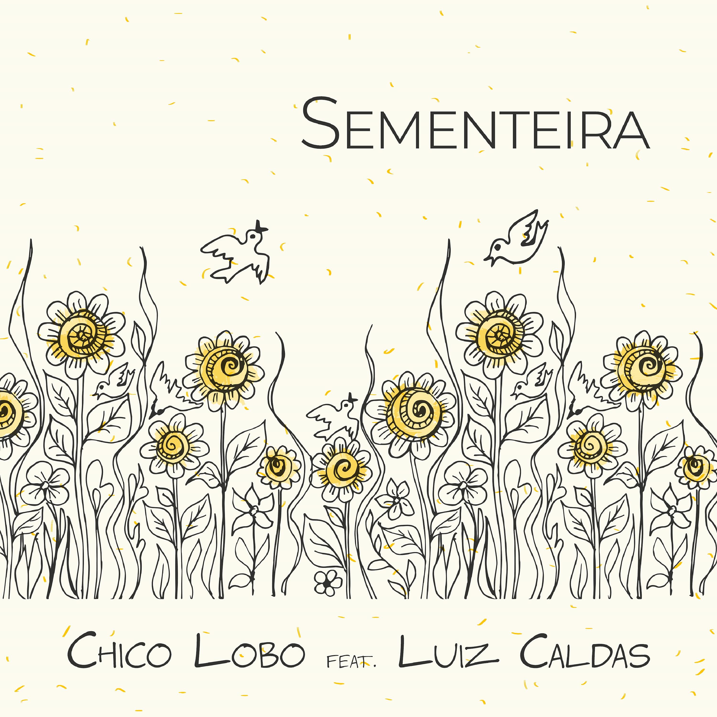 Постер альбома Sementeira