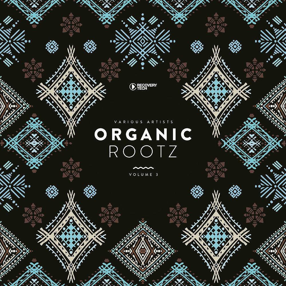 Постер альбома Organic Rootz, Vol. 3