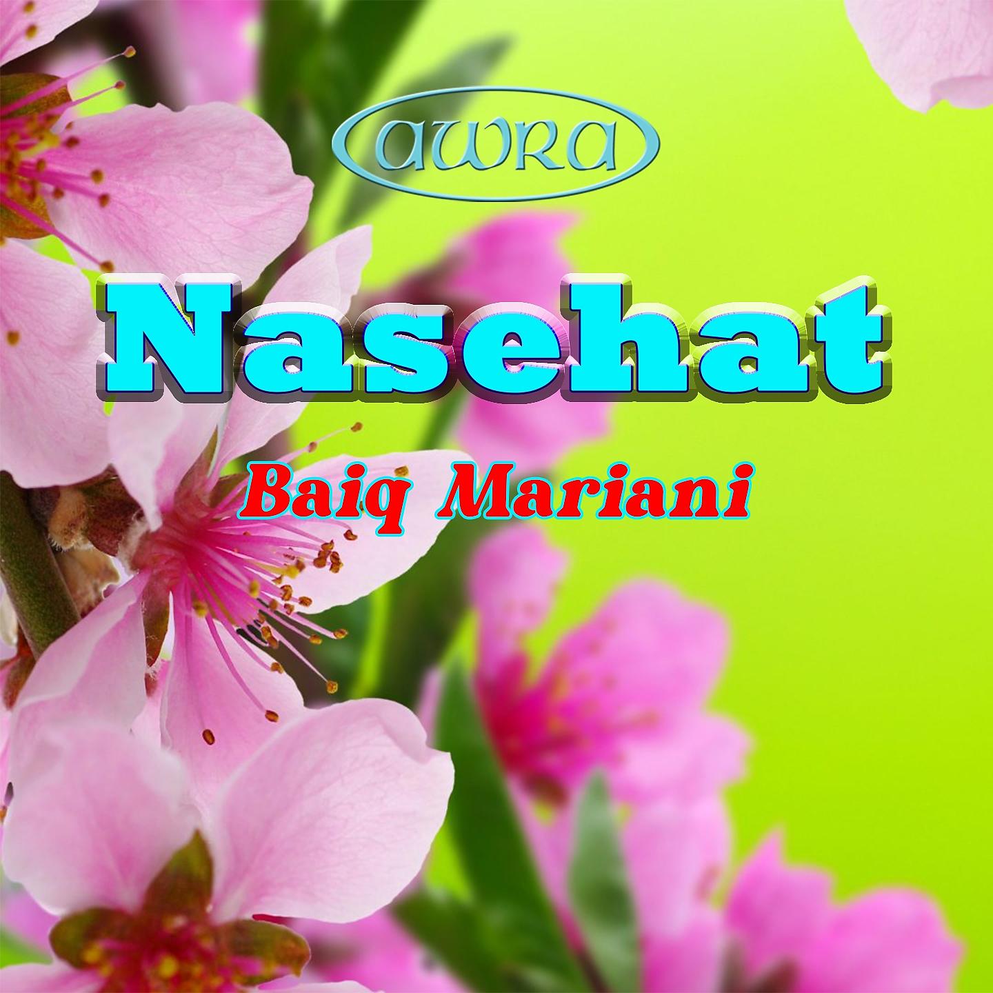 Постер альбома Nasehat
