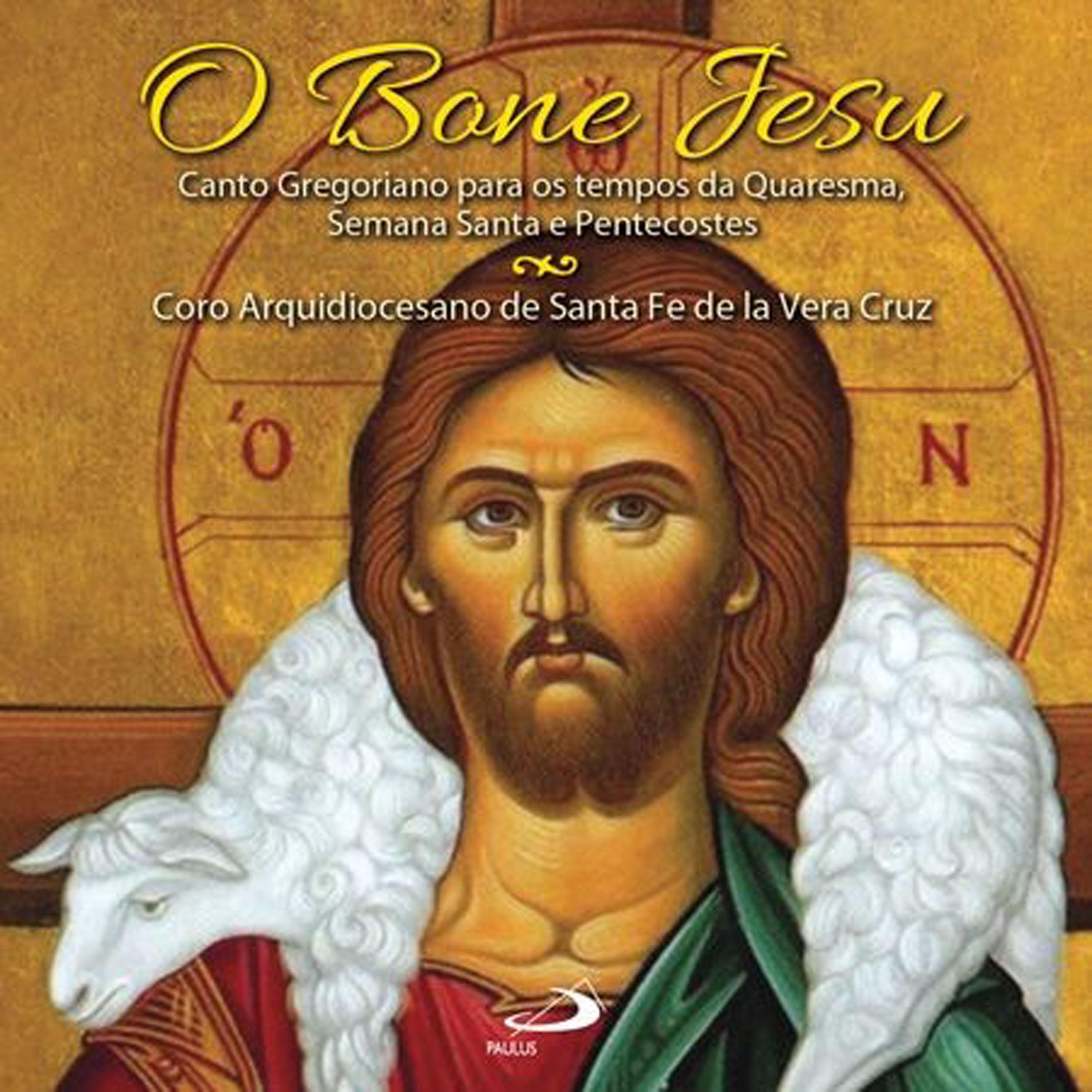 Постер альбома O Bone Jesu