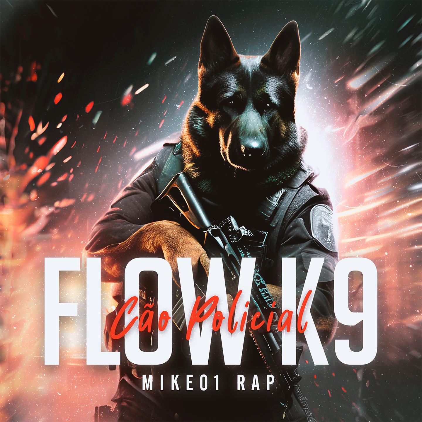 Постер альбома Flow K9
