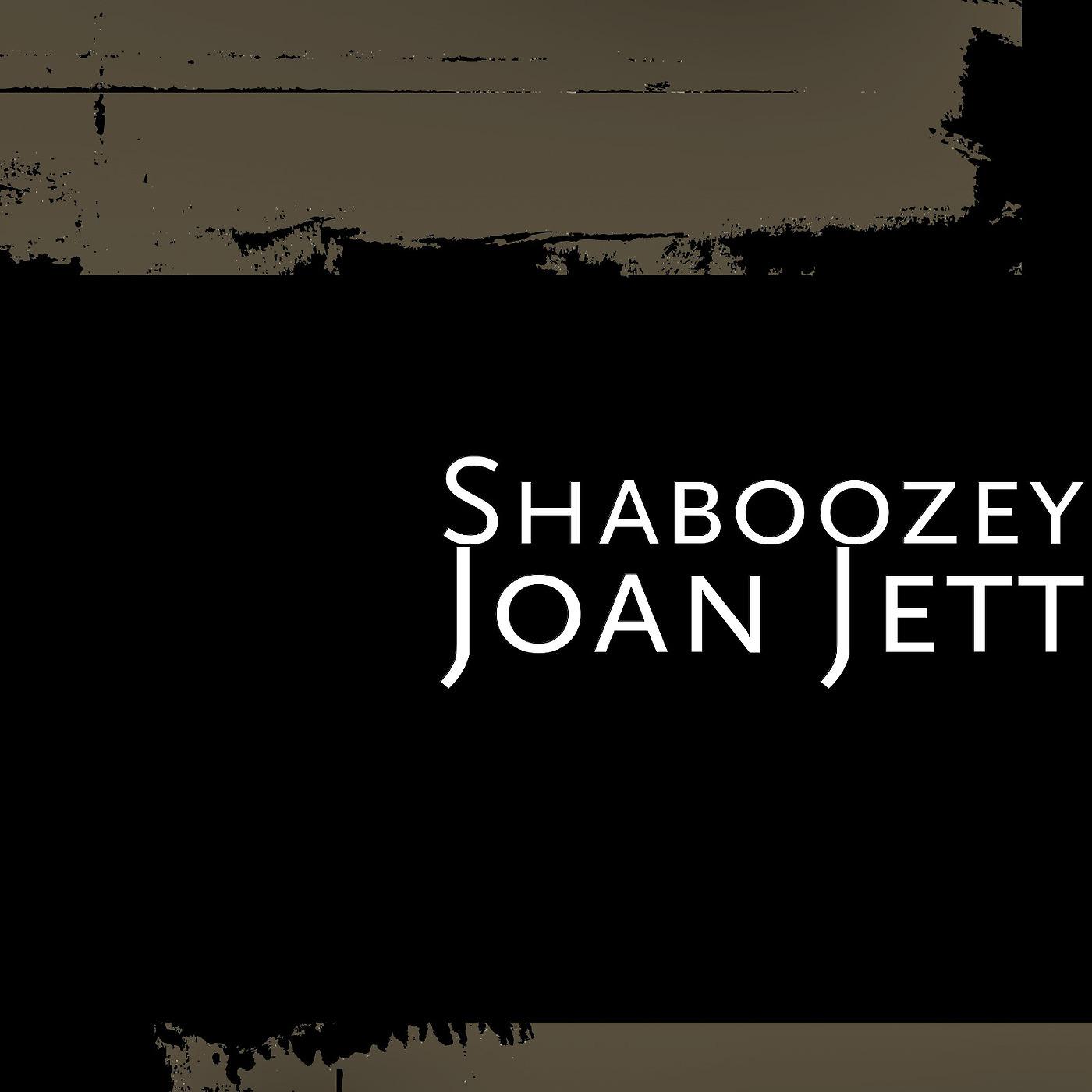Постер альбома Joan Jett