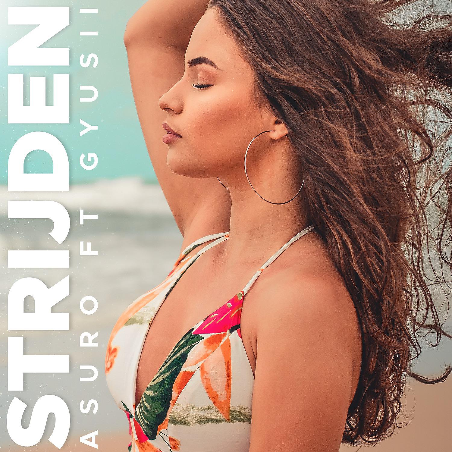 Постер альбома Strijden