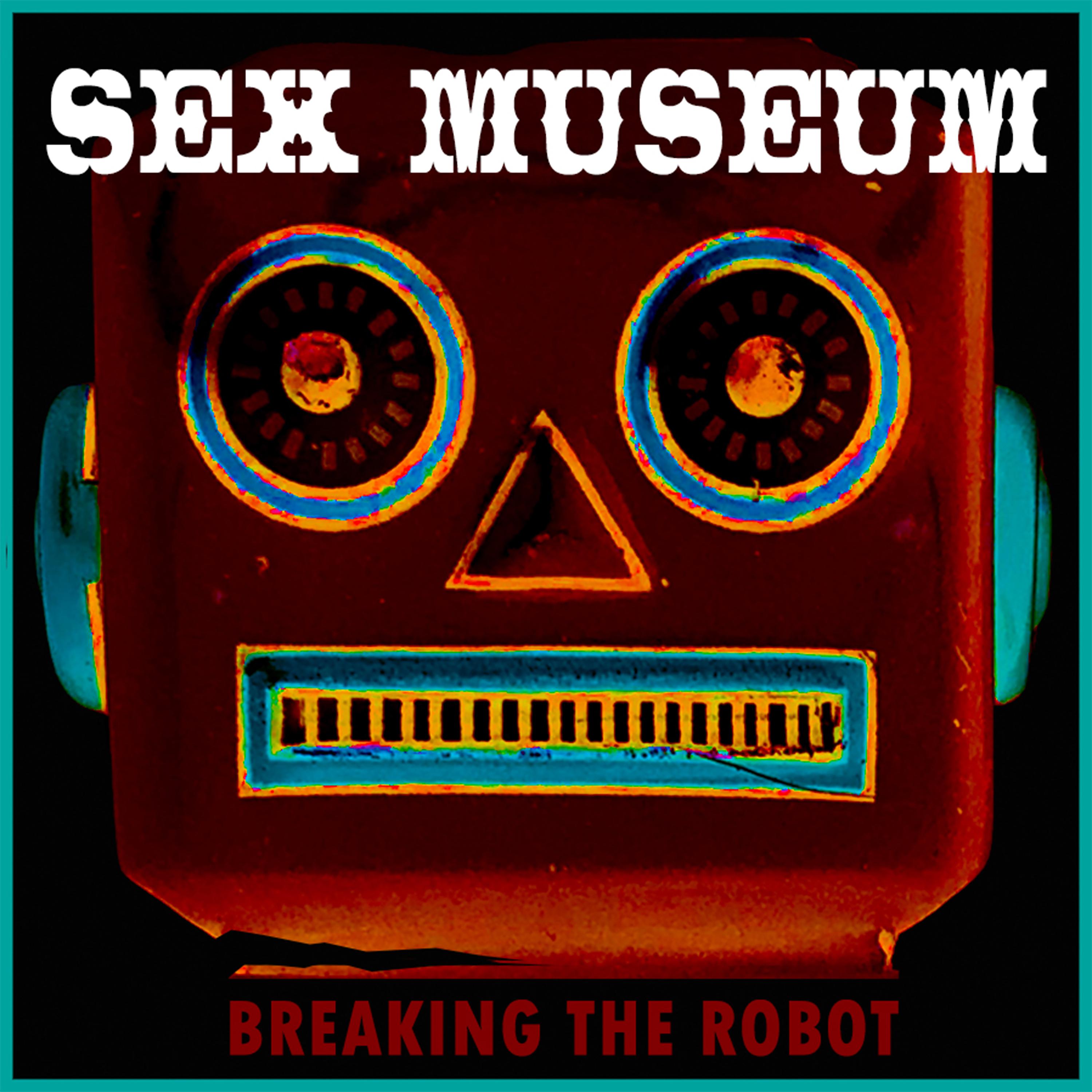 Постер альбома Breaking The Robot