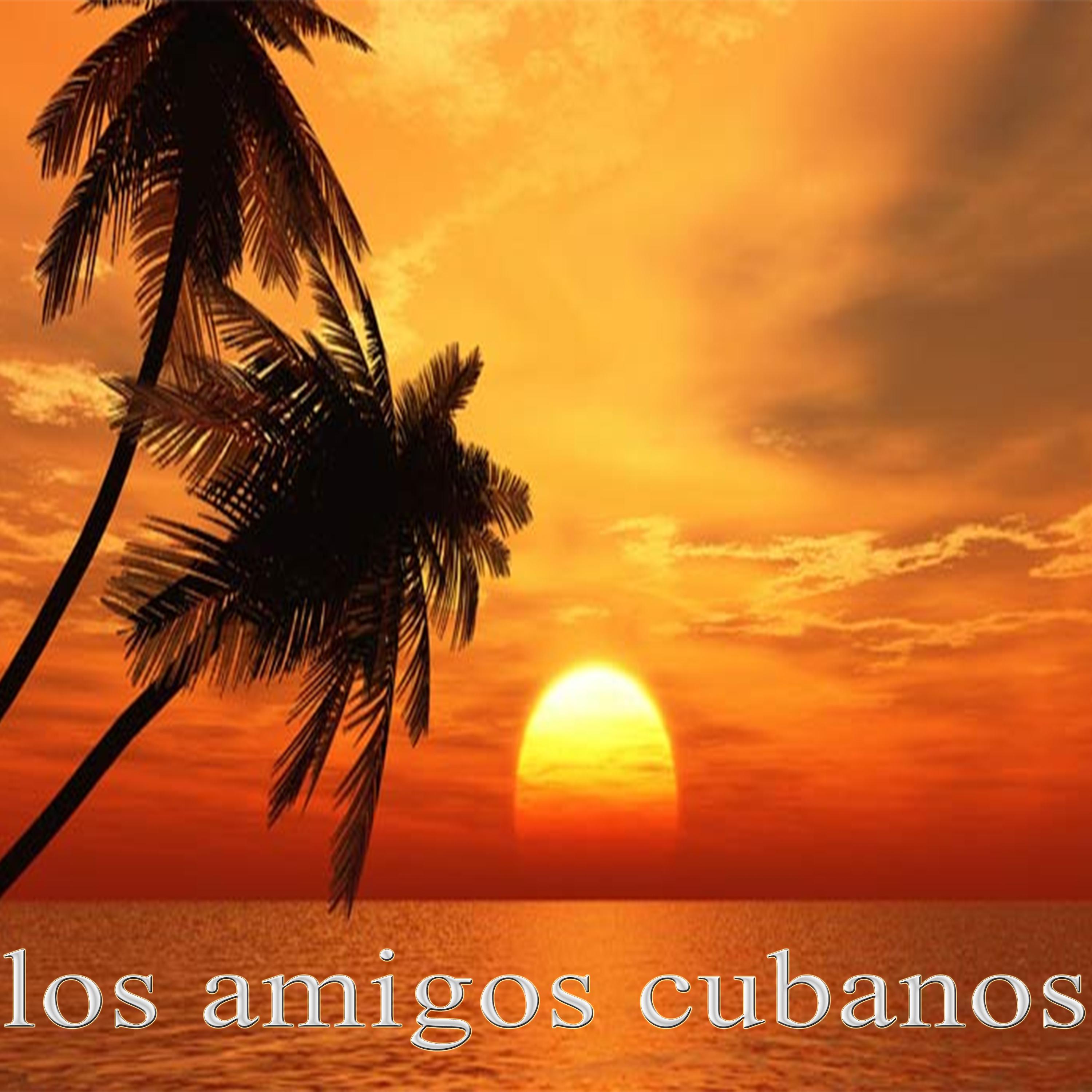 Постер альбома Los Amigos Cubanos