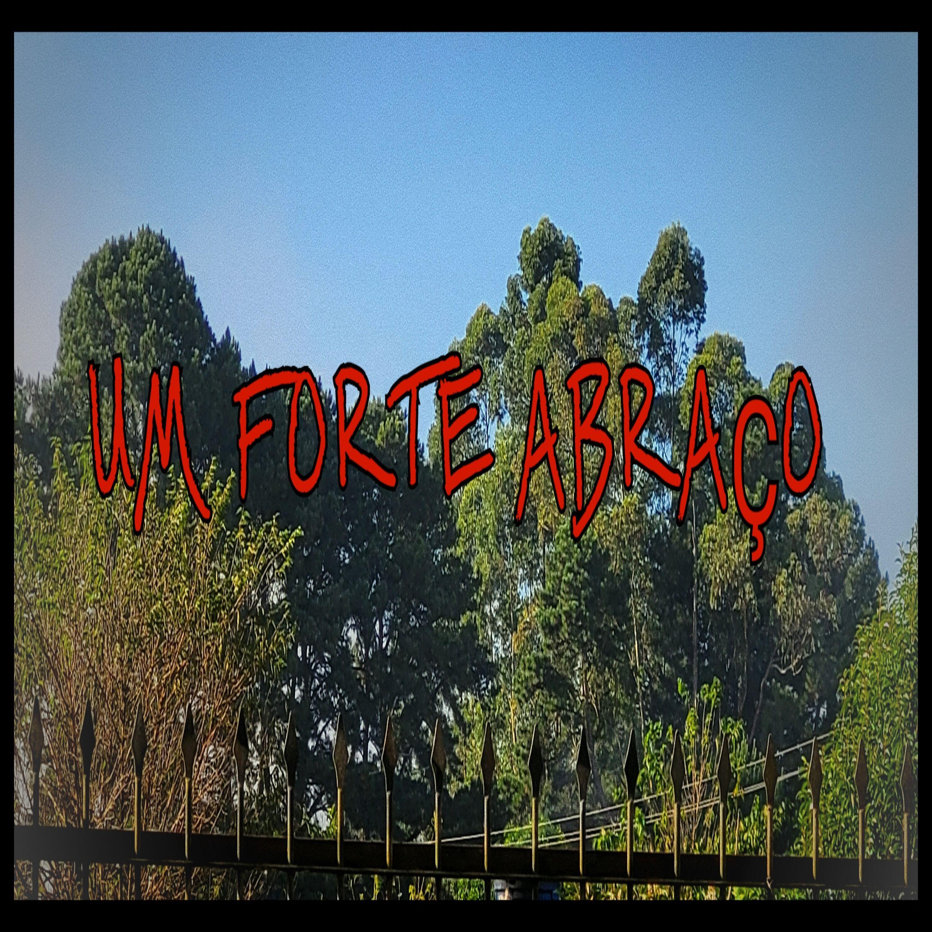 Постер альбома Um Forte Abraço