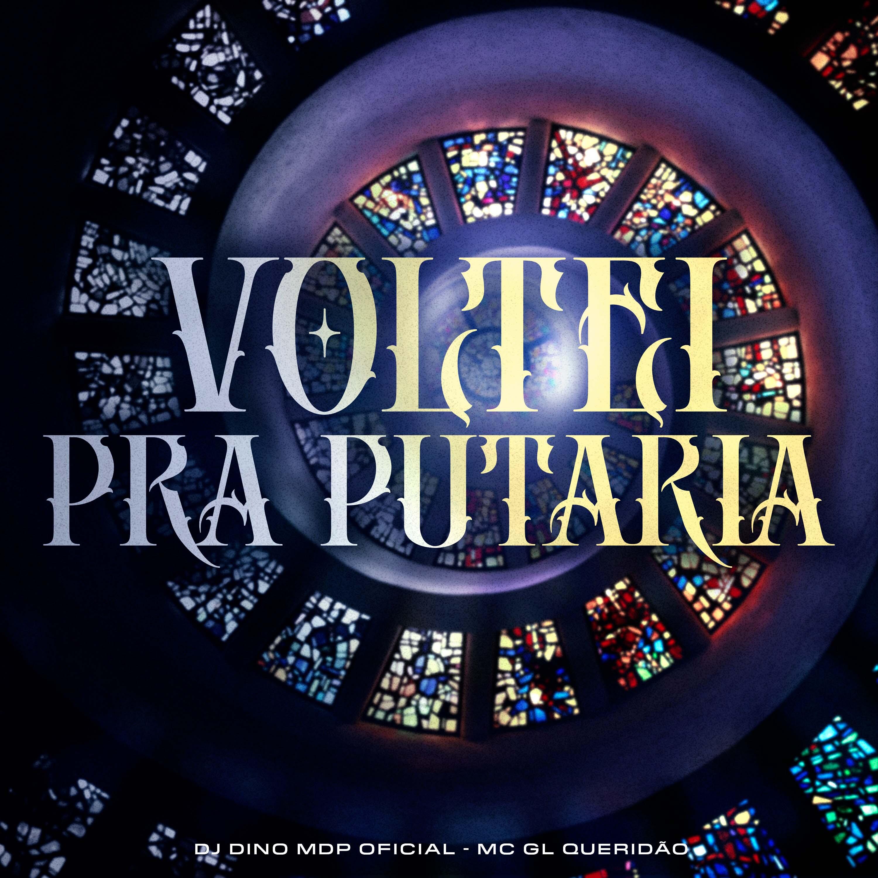 Постер альбома Voltei pra Putaria
