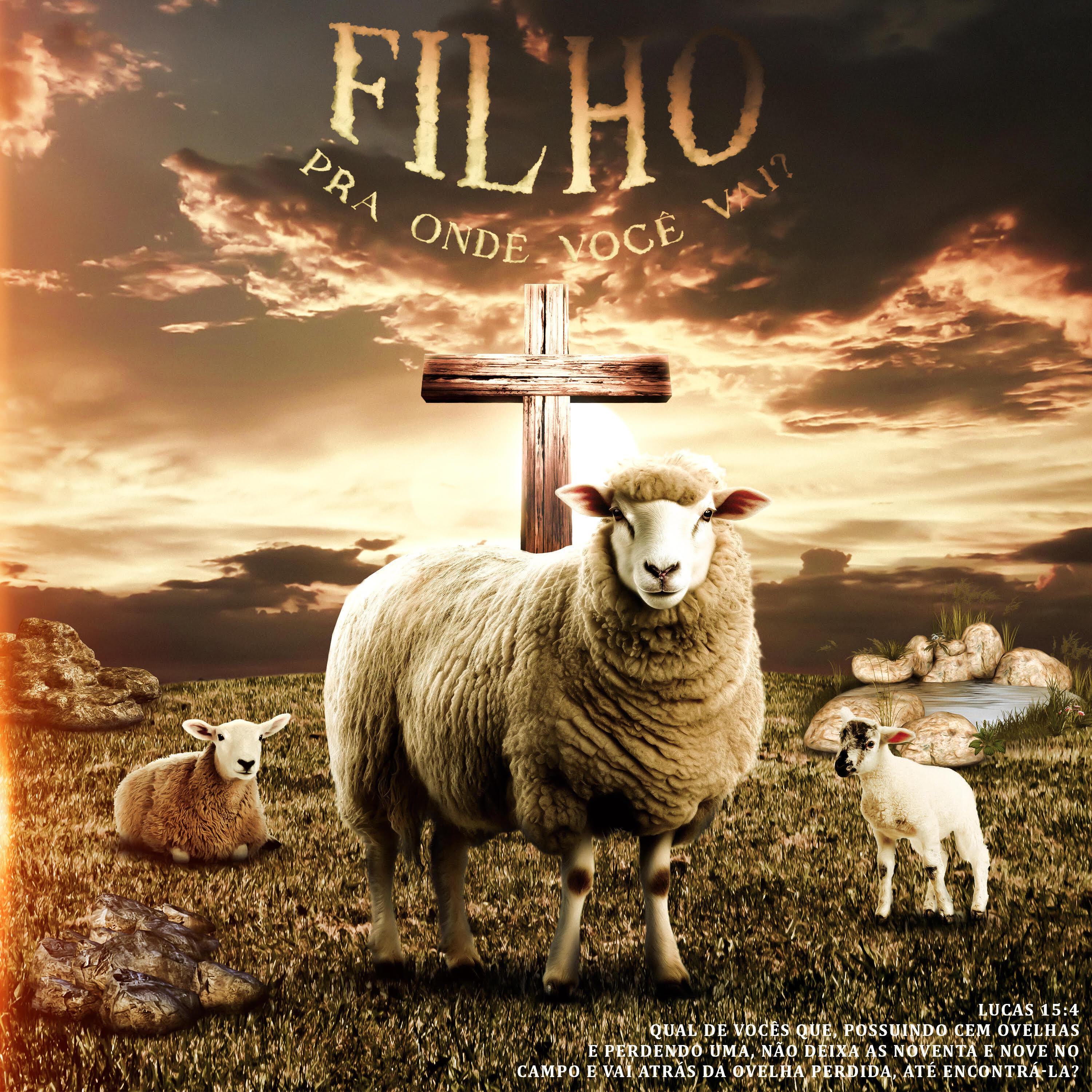 Постер альбома Filho, pra Onde Você Vai?