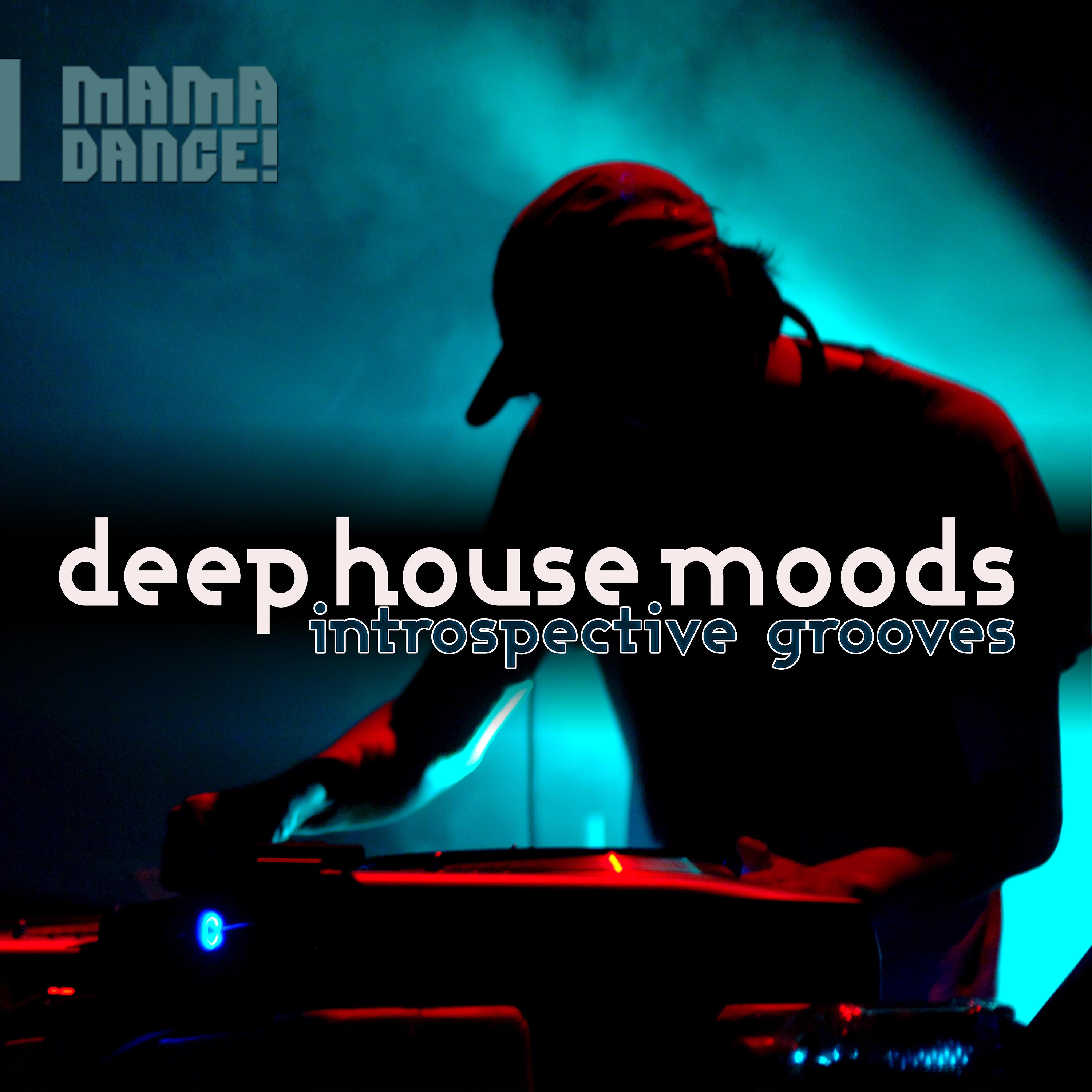 Постер альбома Deep House Moods – Introspective Grooves