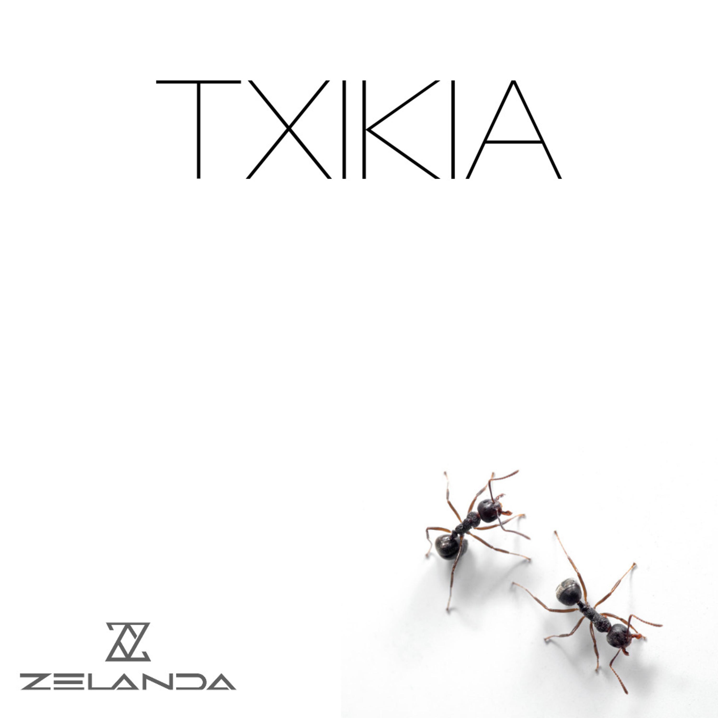 Постер альбома Txikia