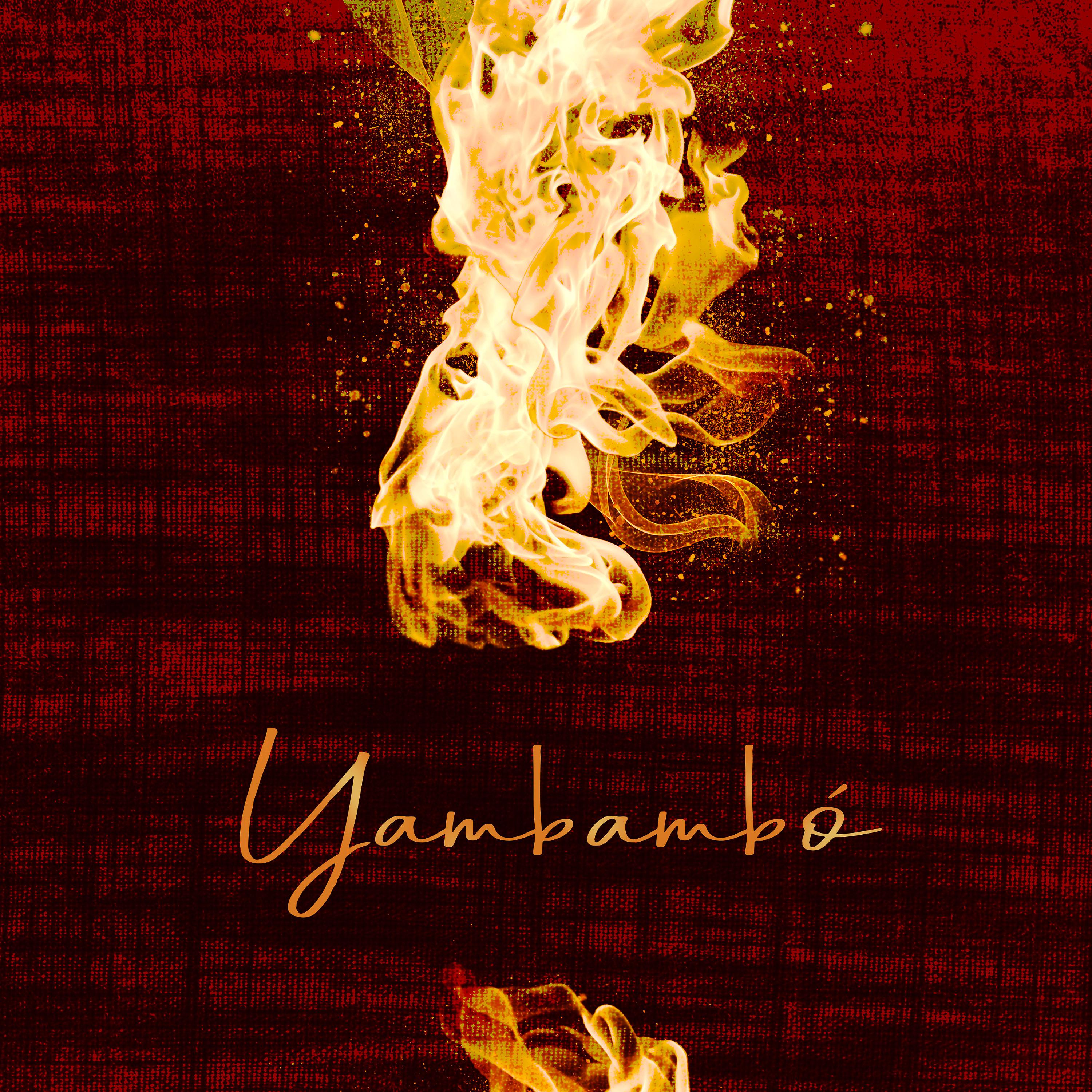 Постер альбома Yambambó