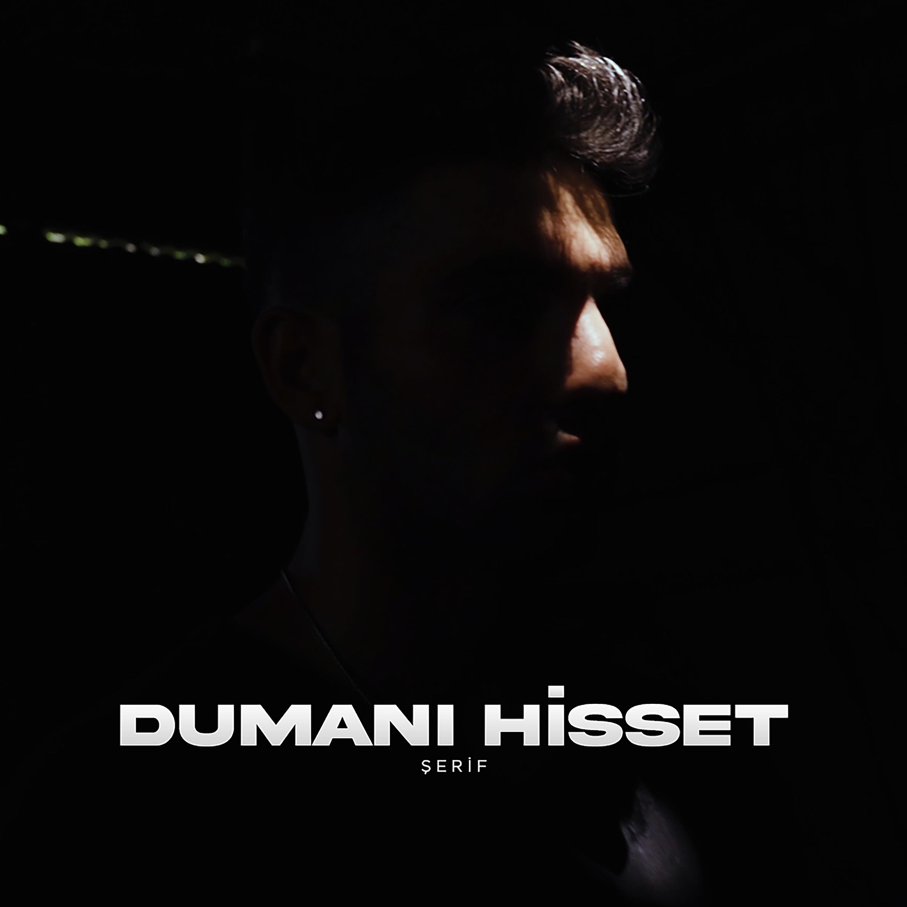 Постер альбома Dumanı Hisset