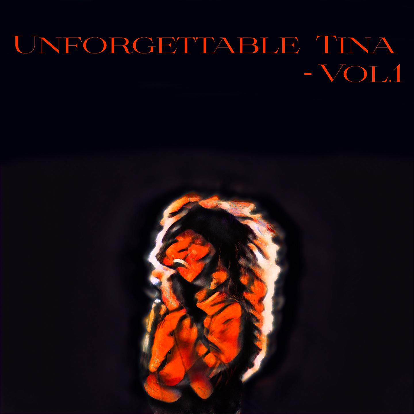 Постер альбома Unforgettable Tina - , Vol. 1