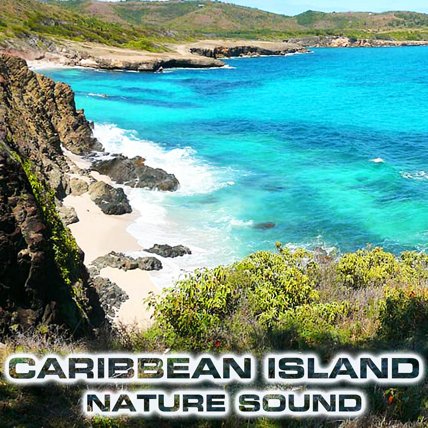 Постер альбома Caribbean Island Nature Sound (feat. Ocean Atmosphere Sounds, Atmospheres Sounds, Caribbean Sea Sounds, Caribbean Cruise Sounds, Ocean Breeze Sounds & White Noise Sound FX)