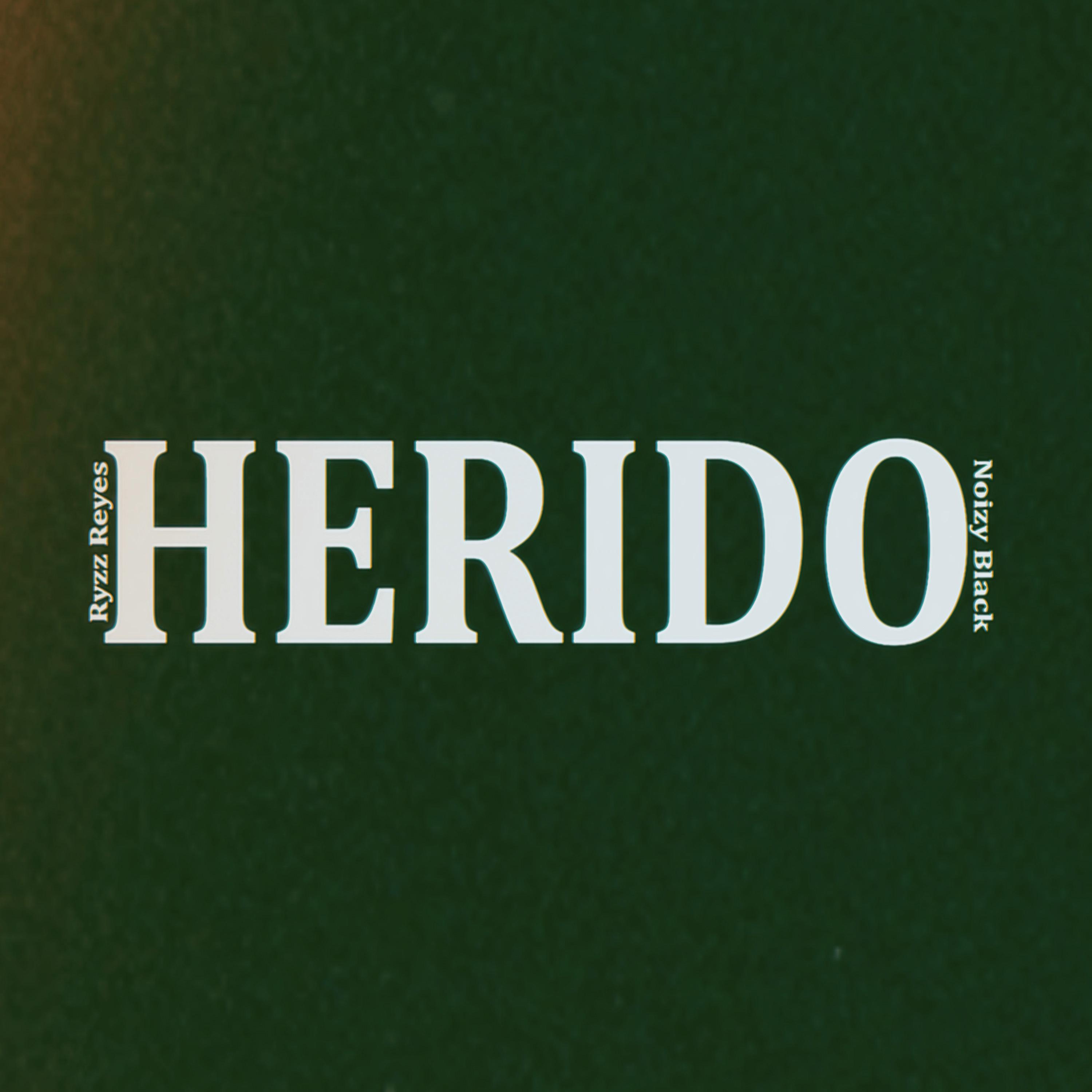 Постер альбома Herido