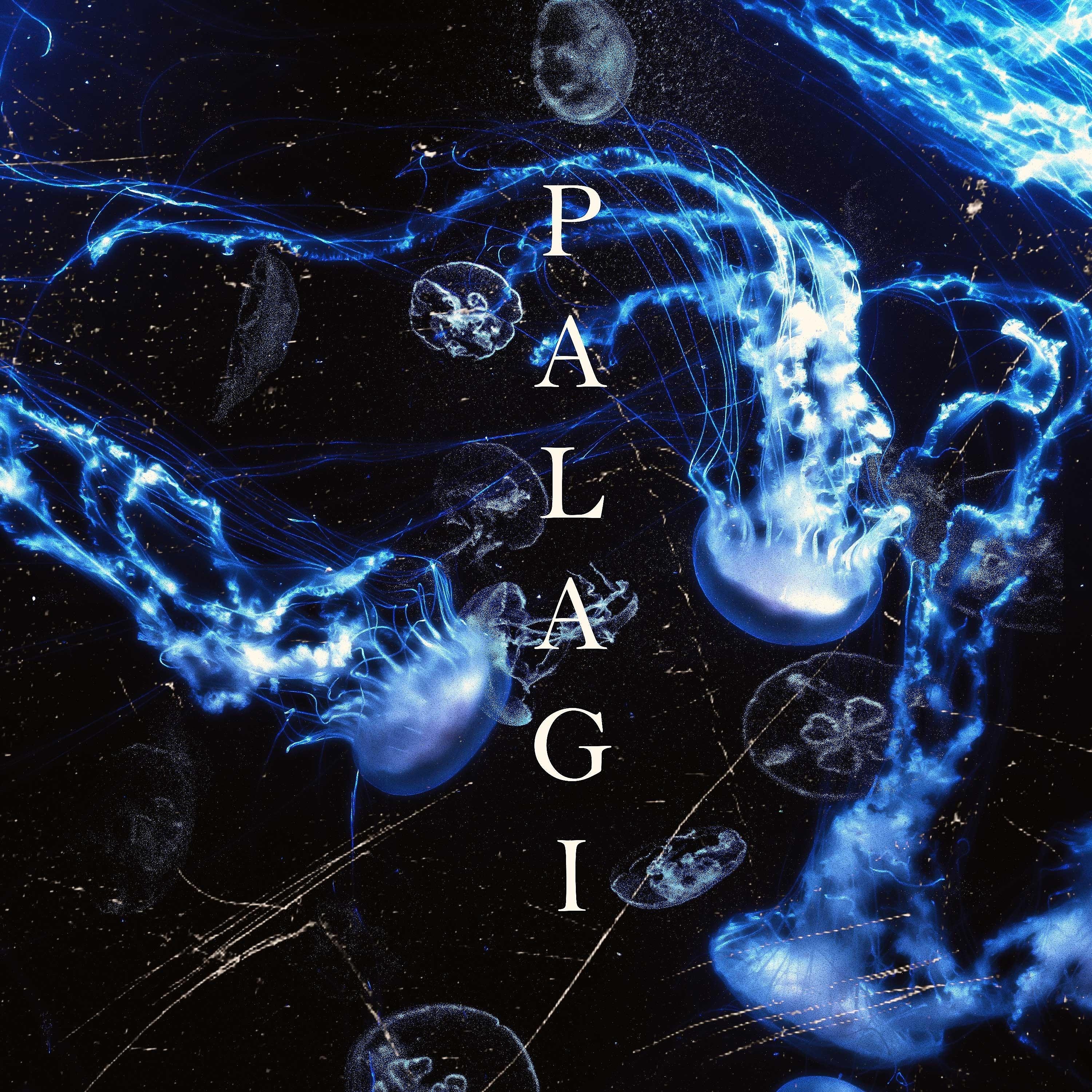 Постер альбома Palagi