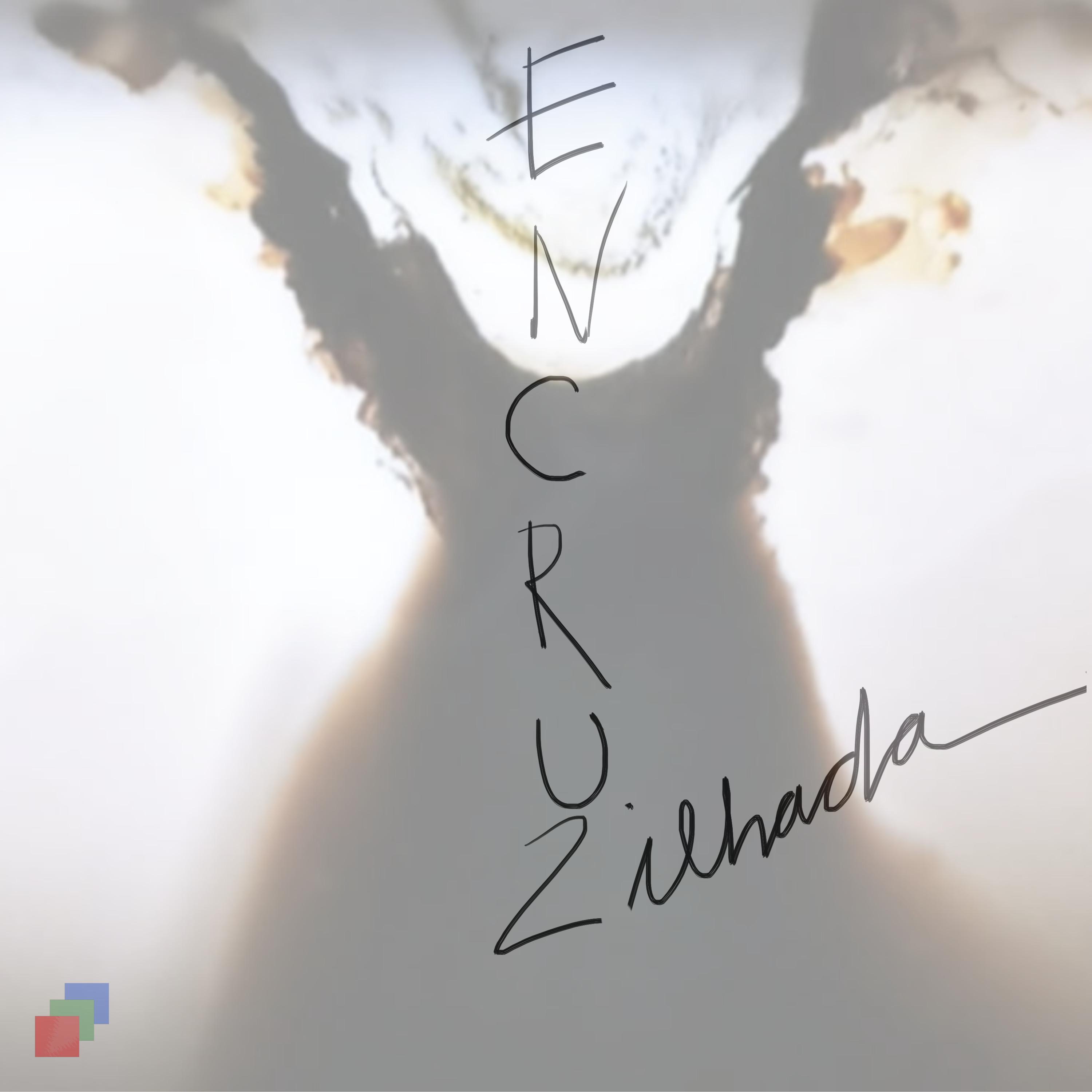 Постер альбома Encruzilhada