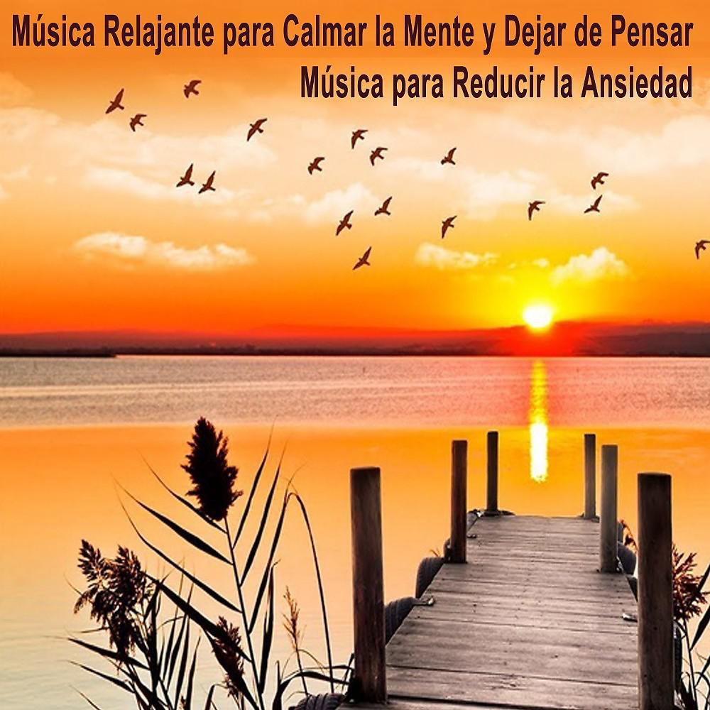 Постер альбома Música Relajante para Calmar la Mente y Dejar de Pensar - Música para Reducir la Ansiedad