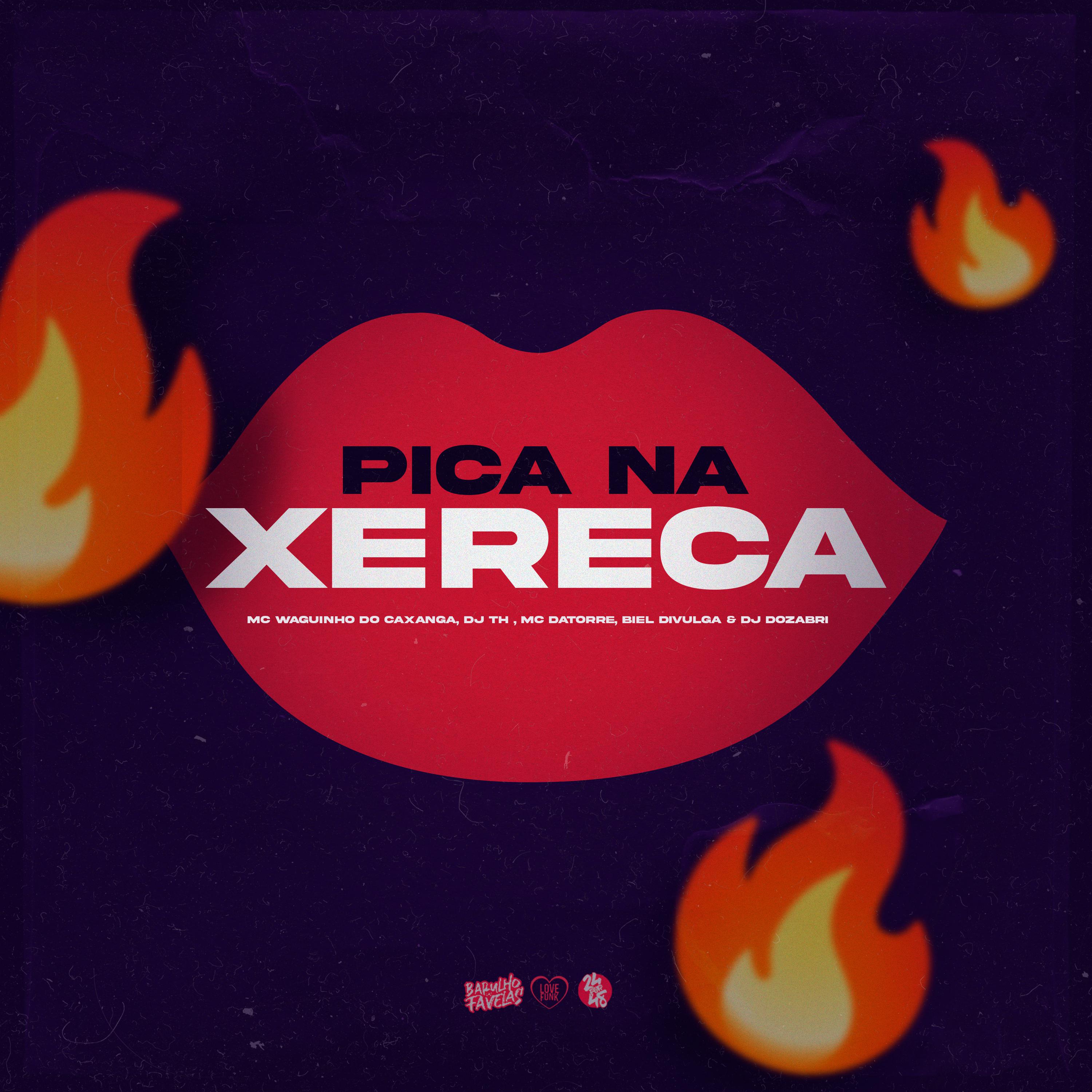 Постер альбома Pica na Xereca