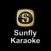 Sunfly Karaoke - фото