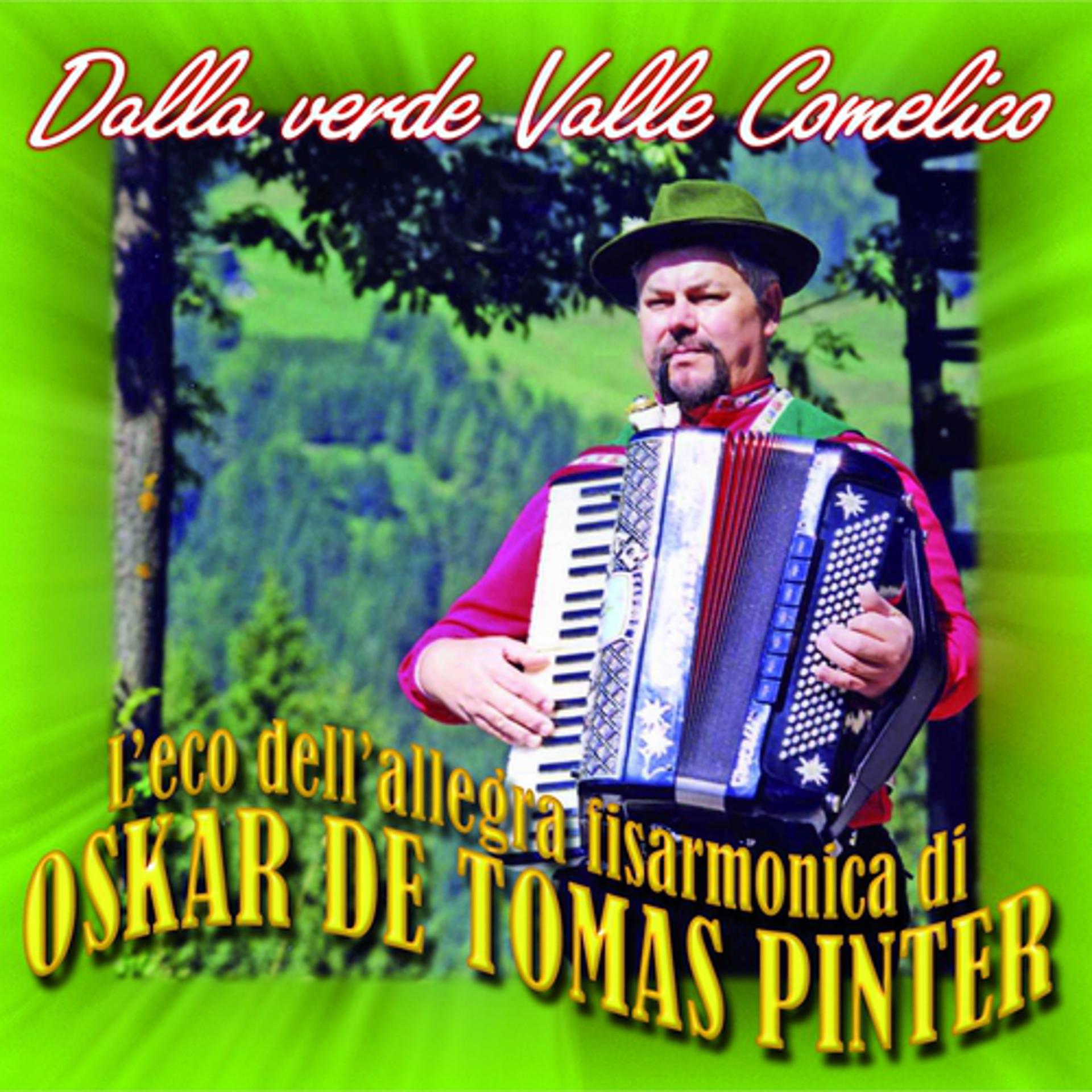 Постер альбома Dalla verde Valle Comelico