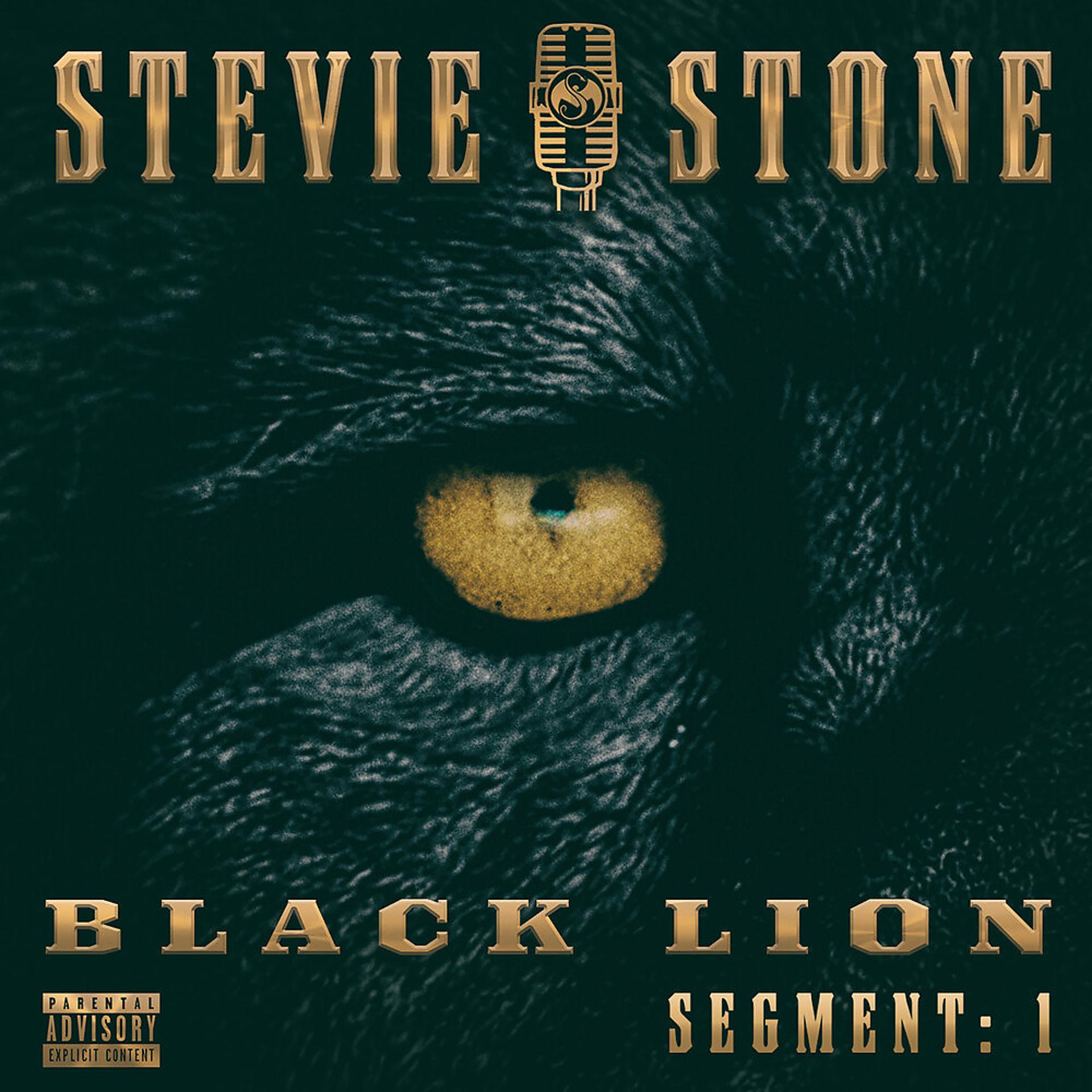 Постер альбома Black Lion Segment: 1
