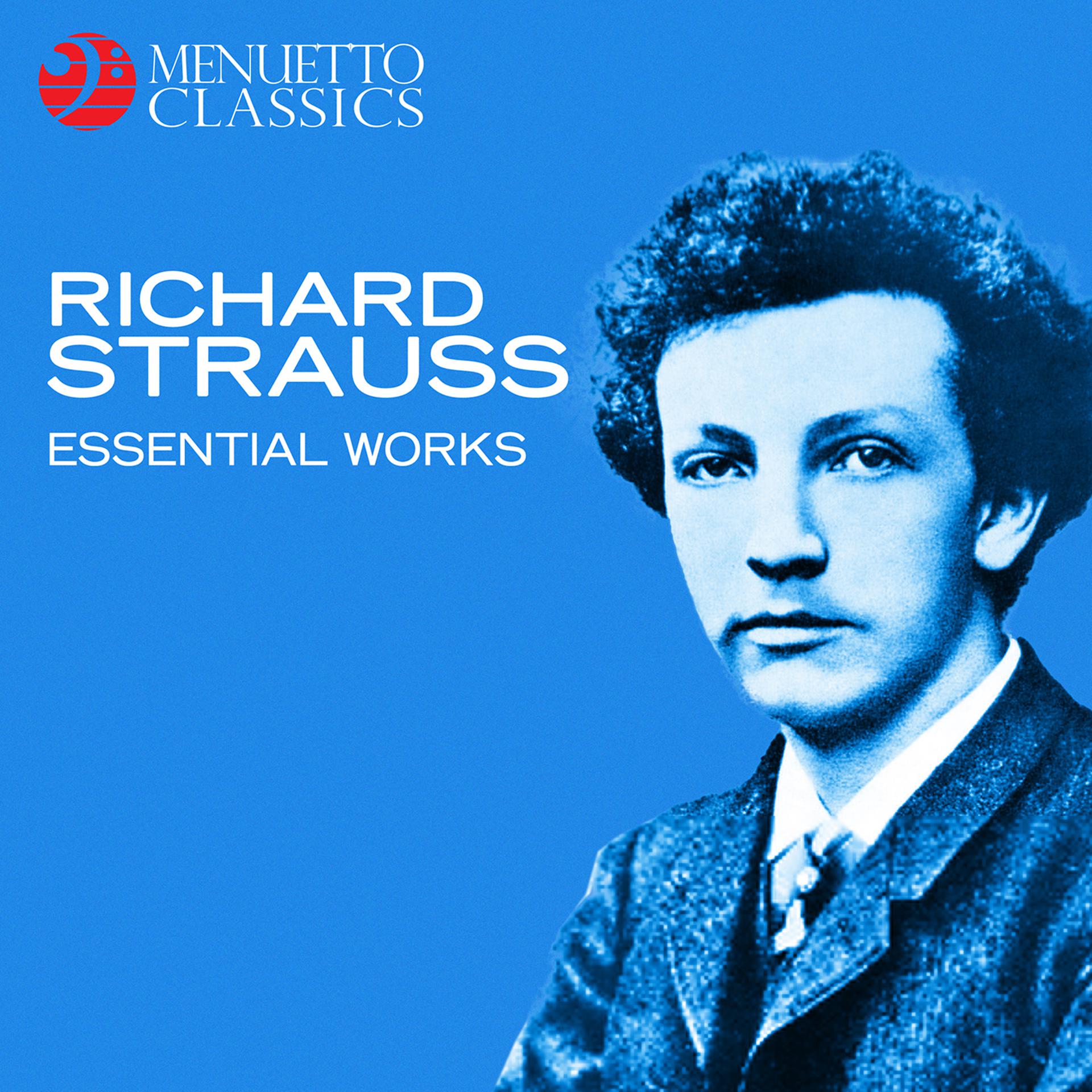 Постер альбома Richard Strauss: Essential Works
