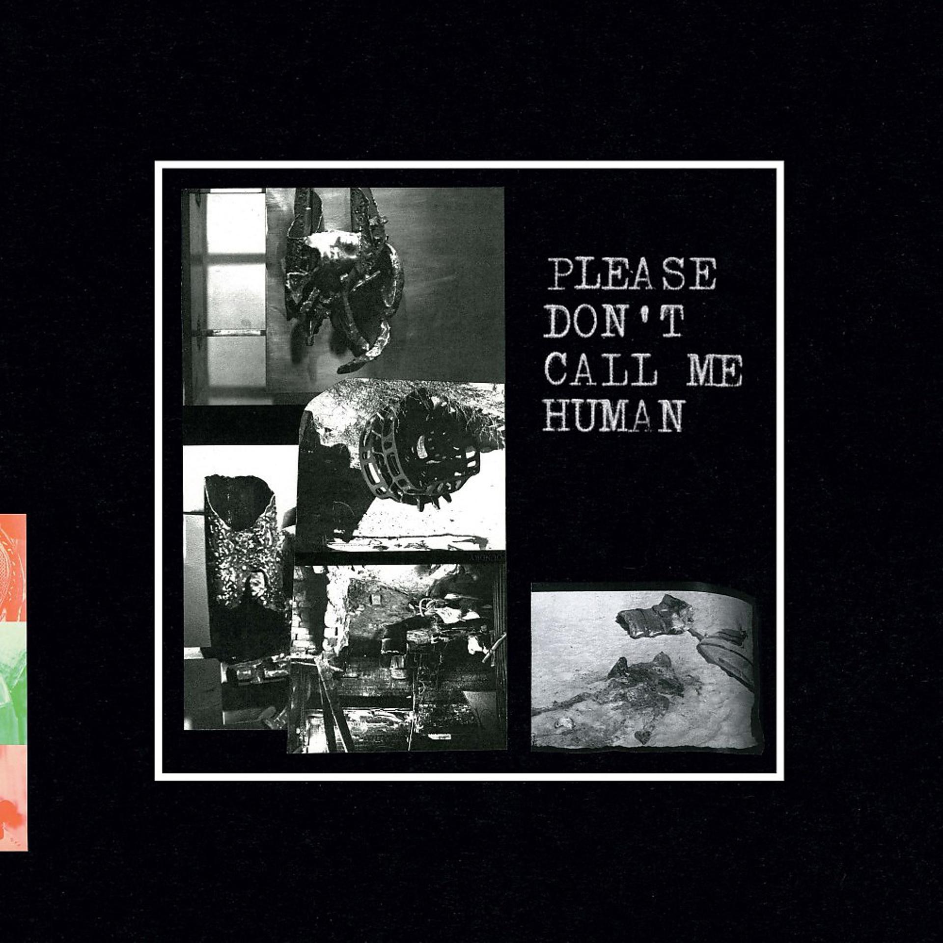 Постер альбома Please Don't Call Me Human