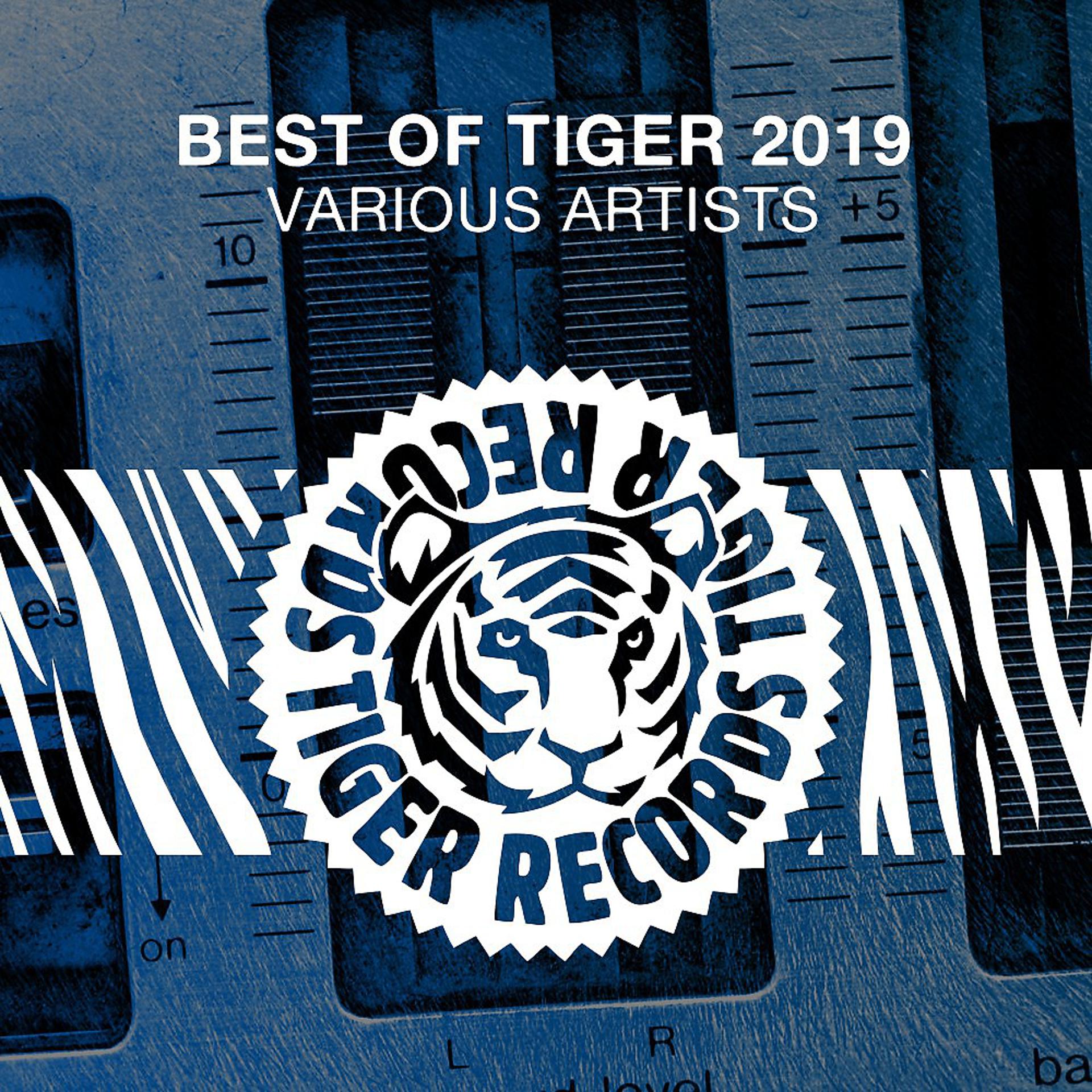 Постер альбома Best of Tiger 2019