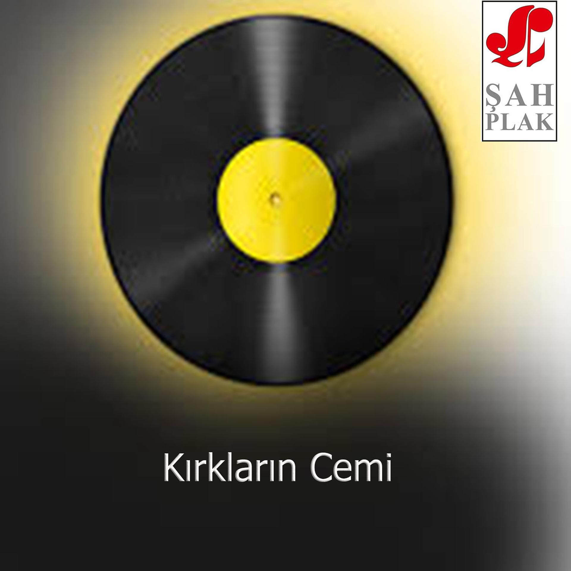 Постер альбома Kırkların Cemi