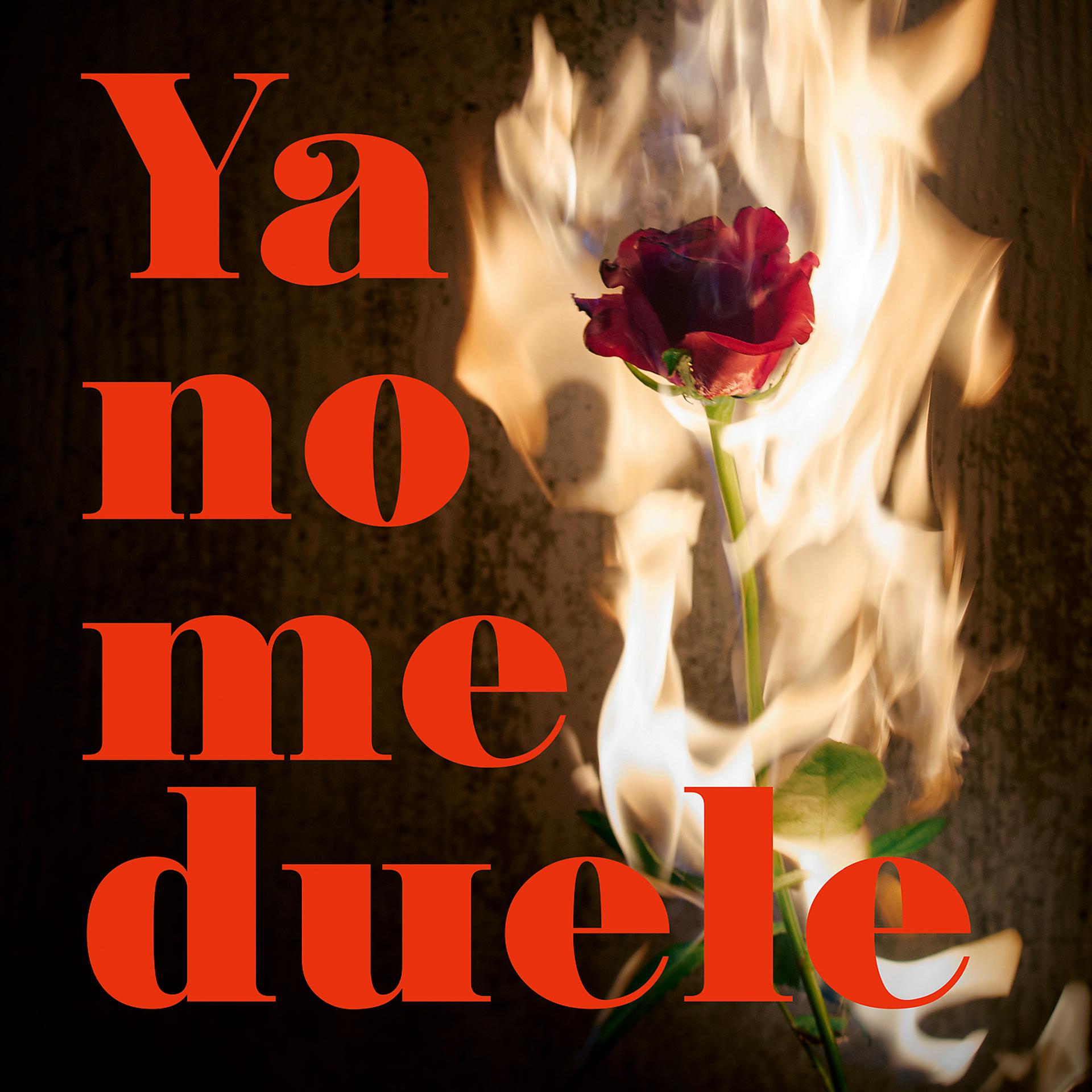 Постер альбома Ya No Me Duele