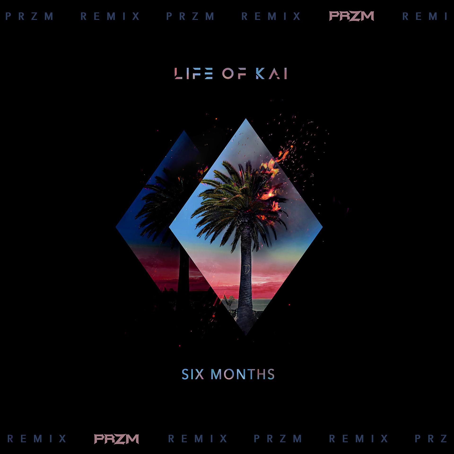 Постер альбома Six Months (PRZM Remix)