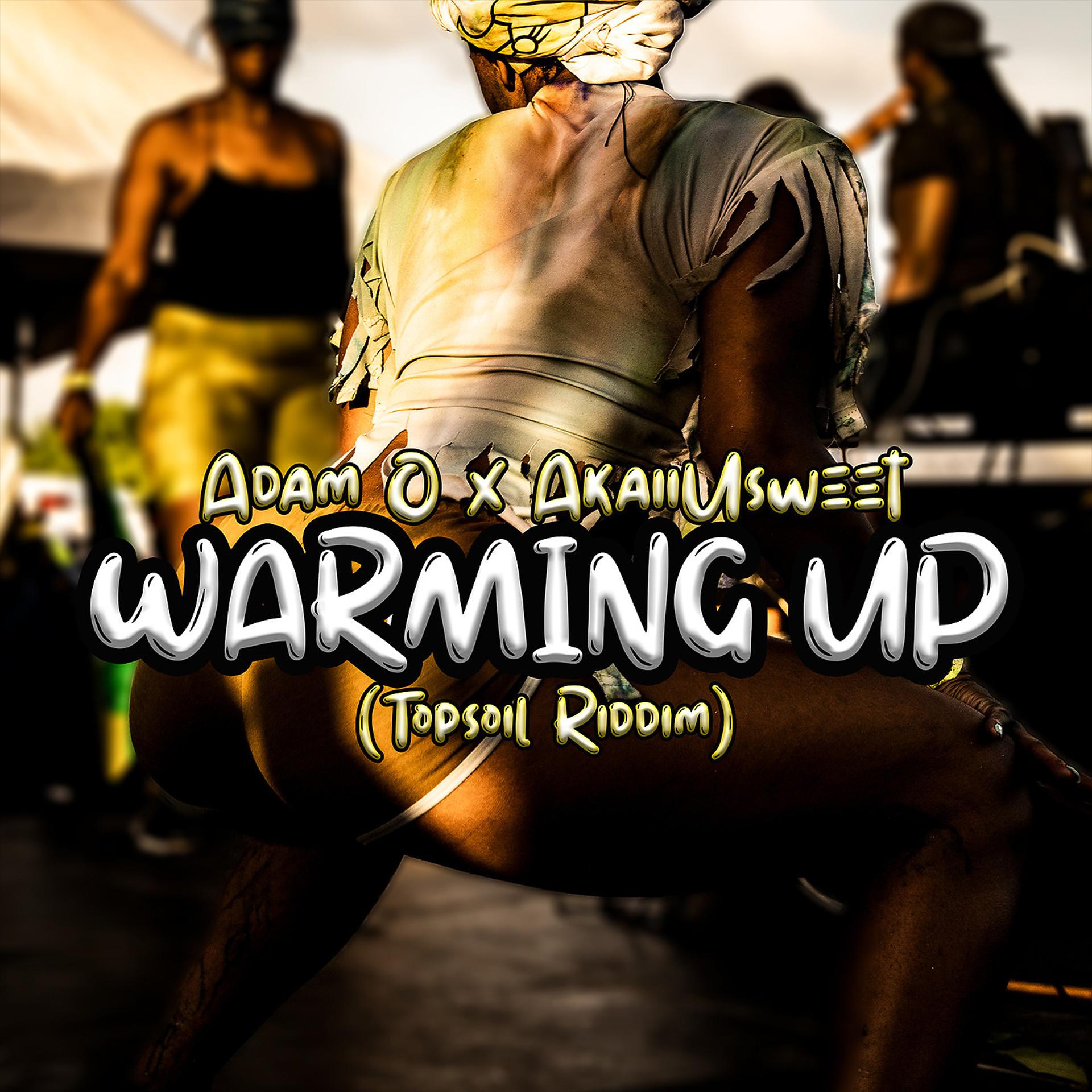 Постер альбома Warming up ( Top Soil Riddim)