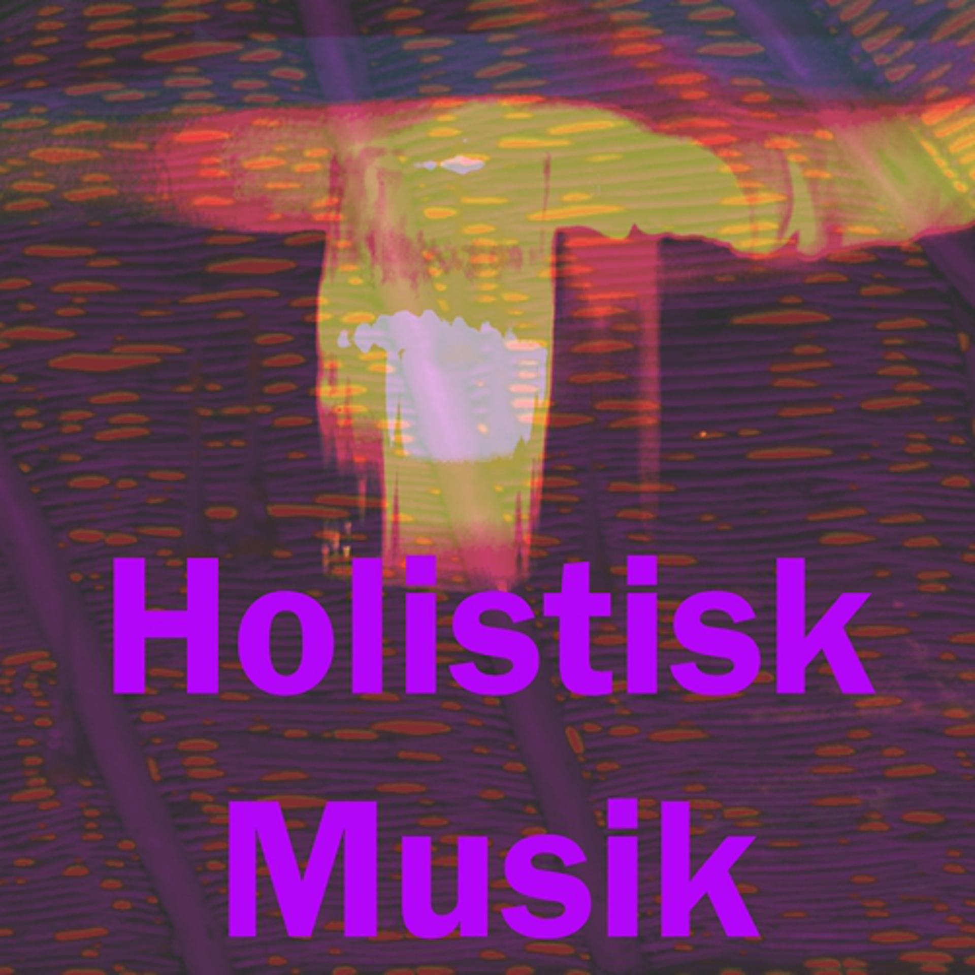 Постер альбома Holistisk musik