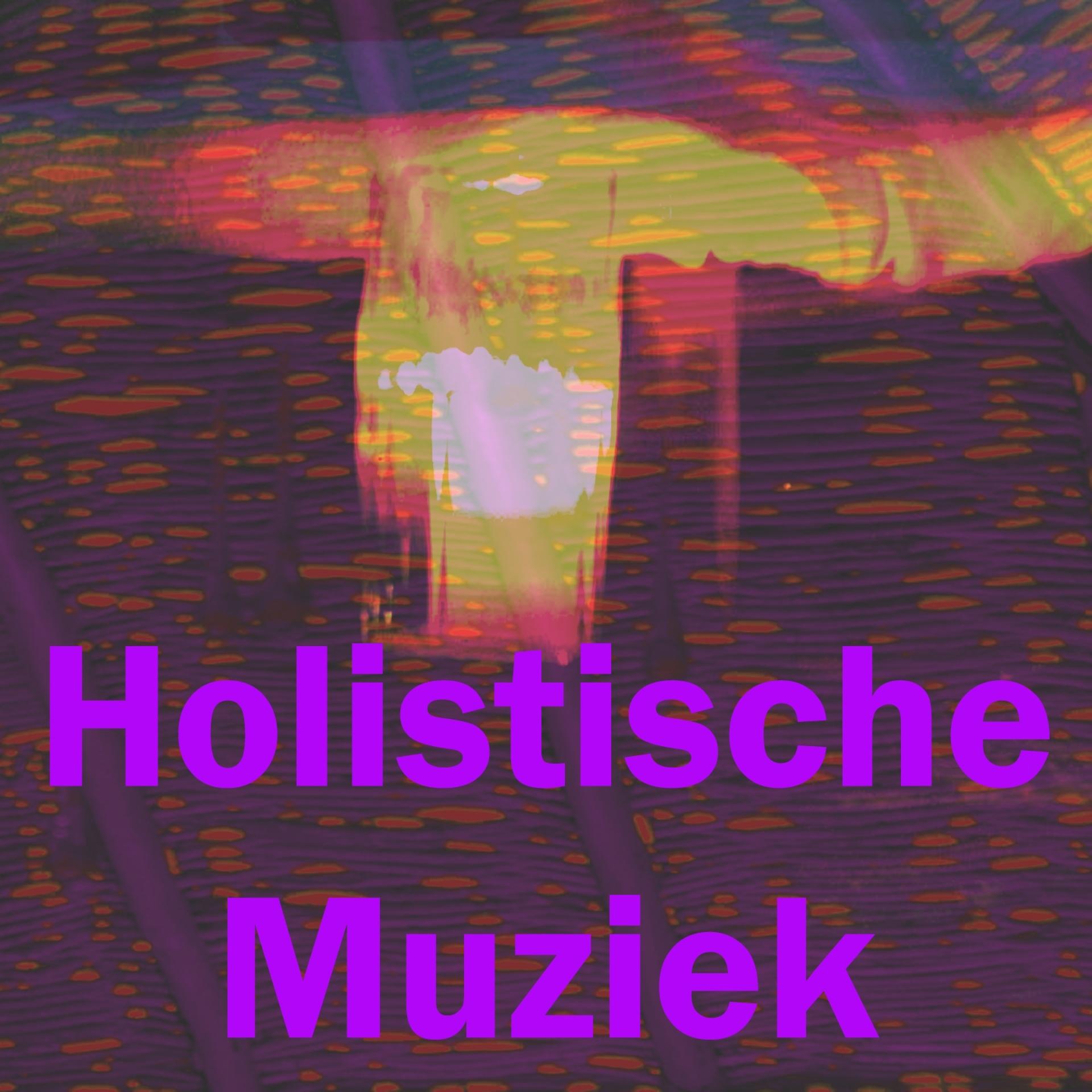 Постер альбома Holistische muziek